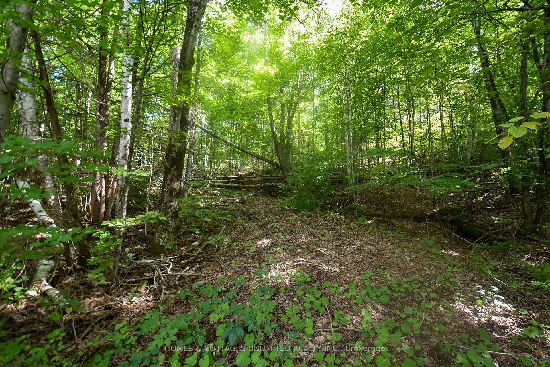 Photo 13 of 2493 River Road, Frontenac, Frontenac North — HOMEH