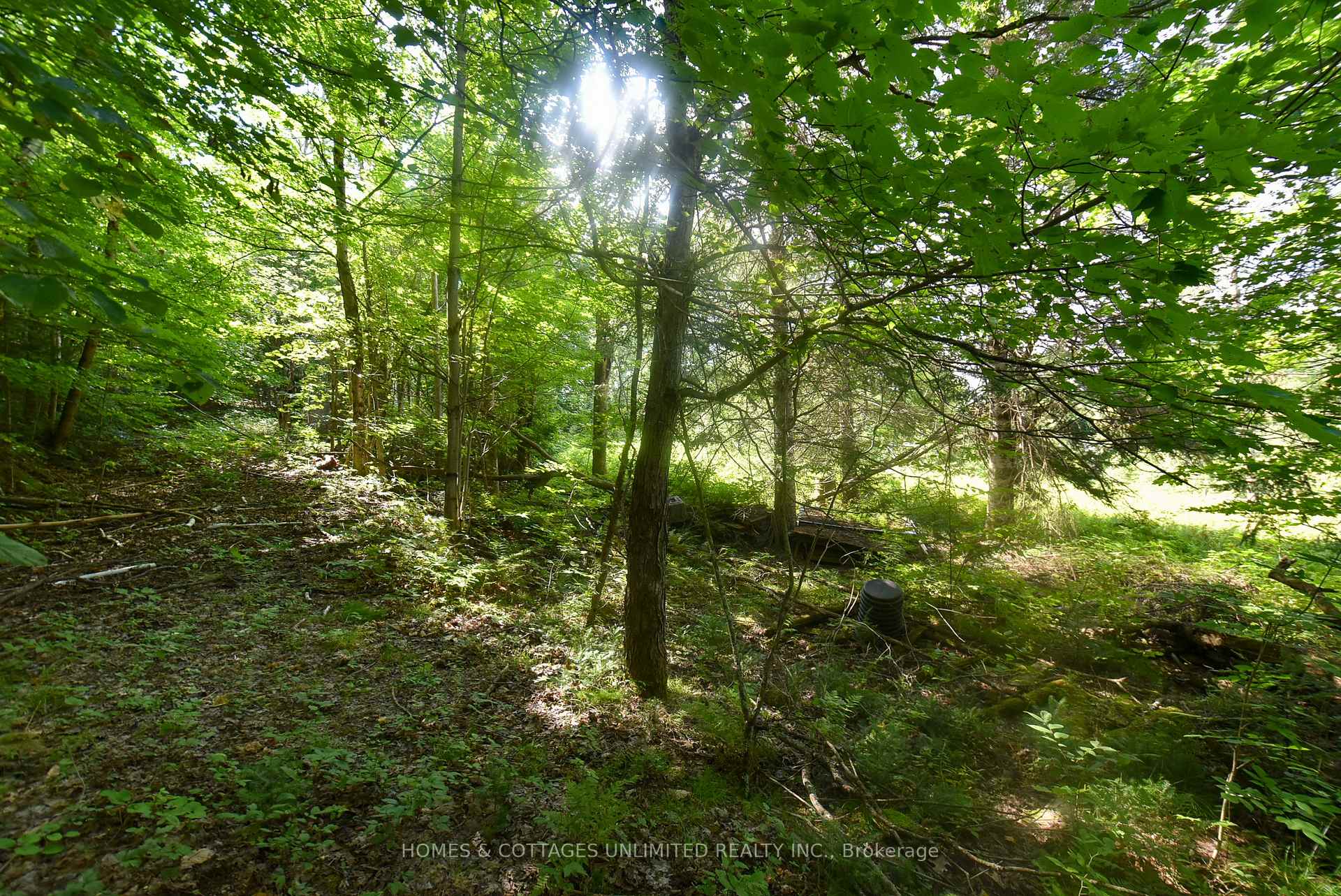 Photo 14 of 2493 River Road, Frontenac, Frontenac North — HOMEH