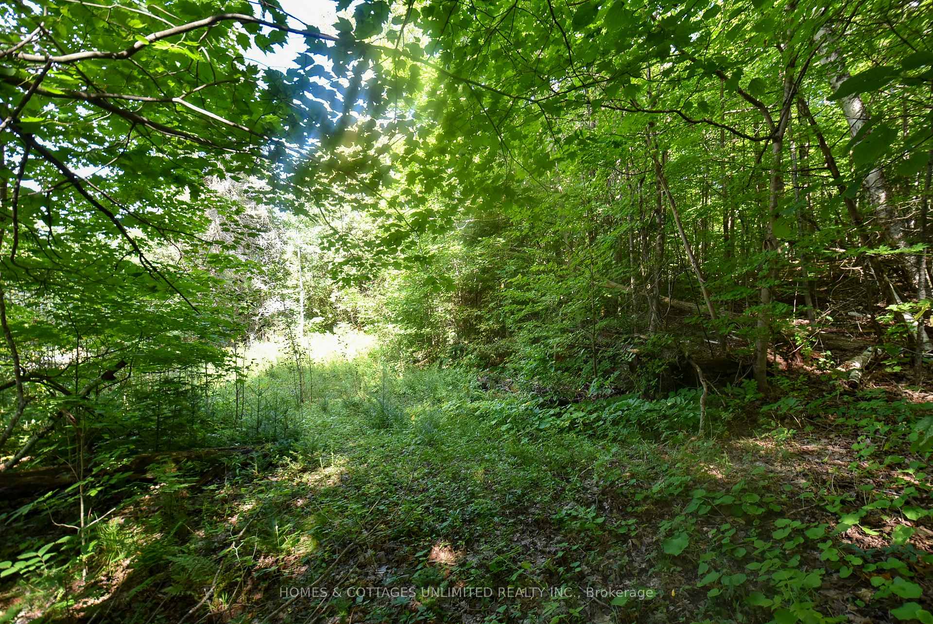 Photo 15 of 2493 River Road, Frontenac, Frontenac North — HOMEH