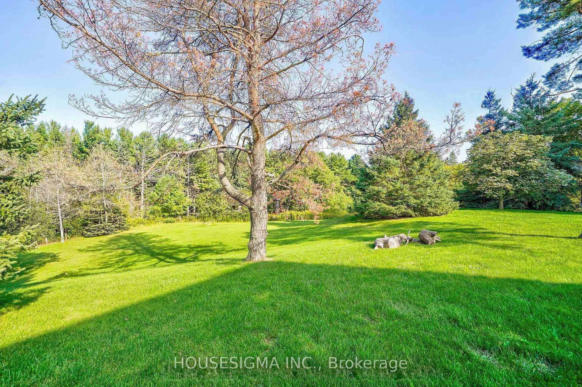 Photo 28 of 95 Cavell Avenue, King, Rural King — HOMEH