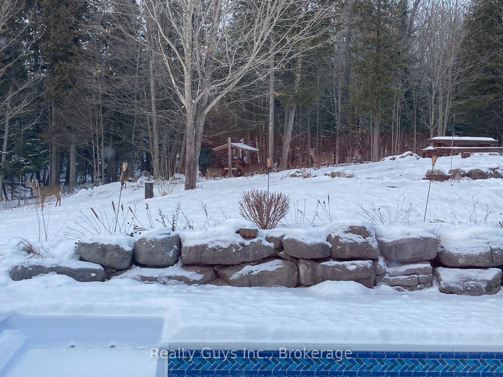 Photo 21 of 891 County Road, Trent Lakes — HOMEH