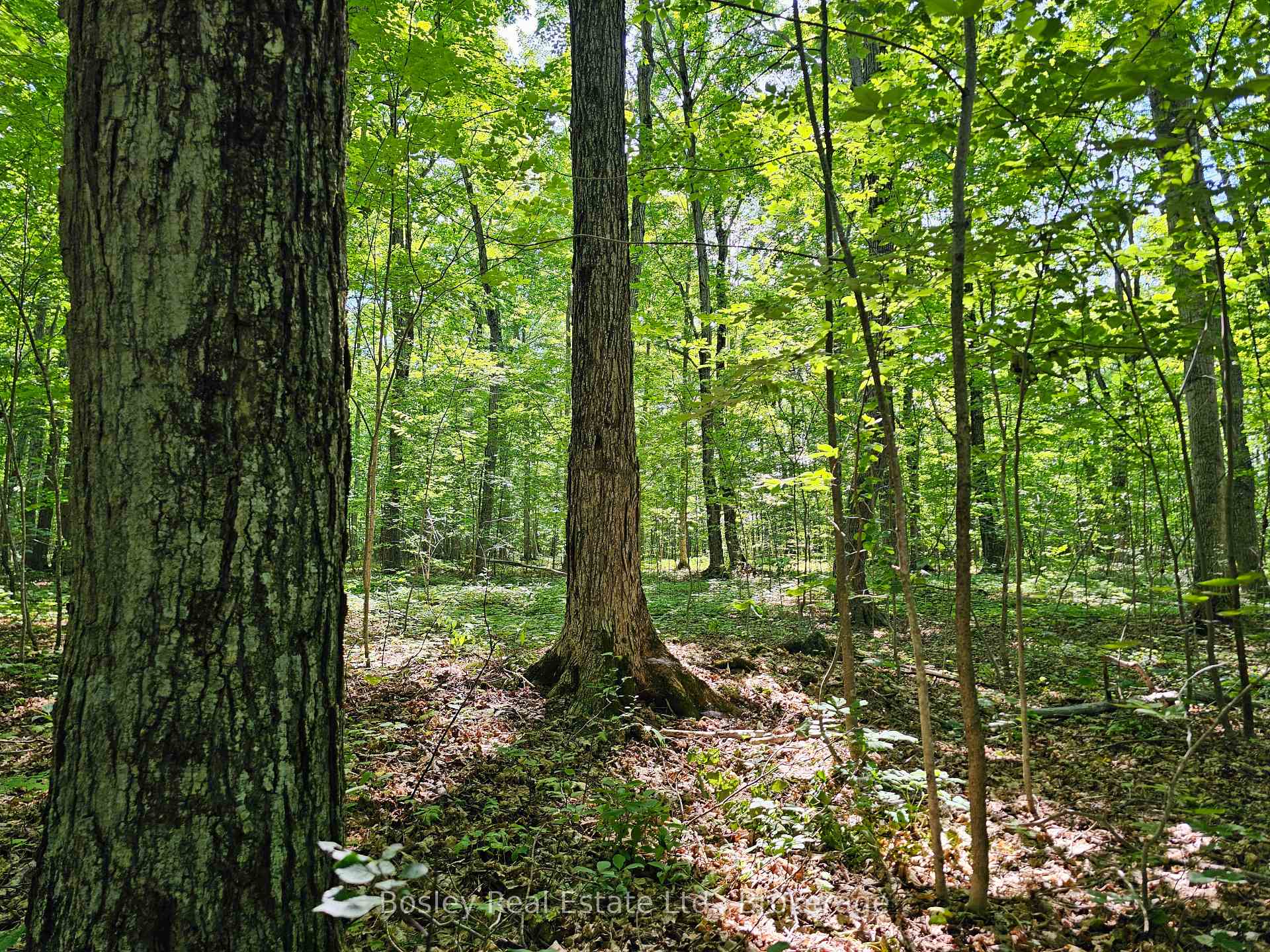 Photo 35 of 404302 20 Concession, Georgian Bluffs — HOMEH
