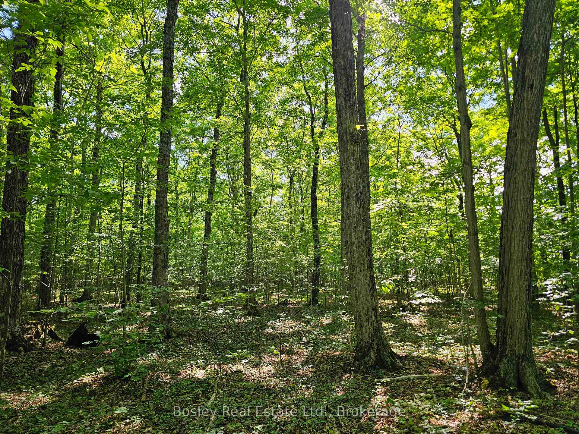 Photo 41 of 404302 20 Concession, Georgian Bluffs — HOMEH