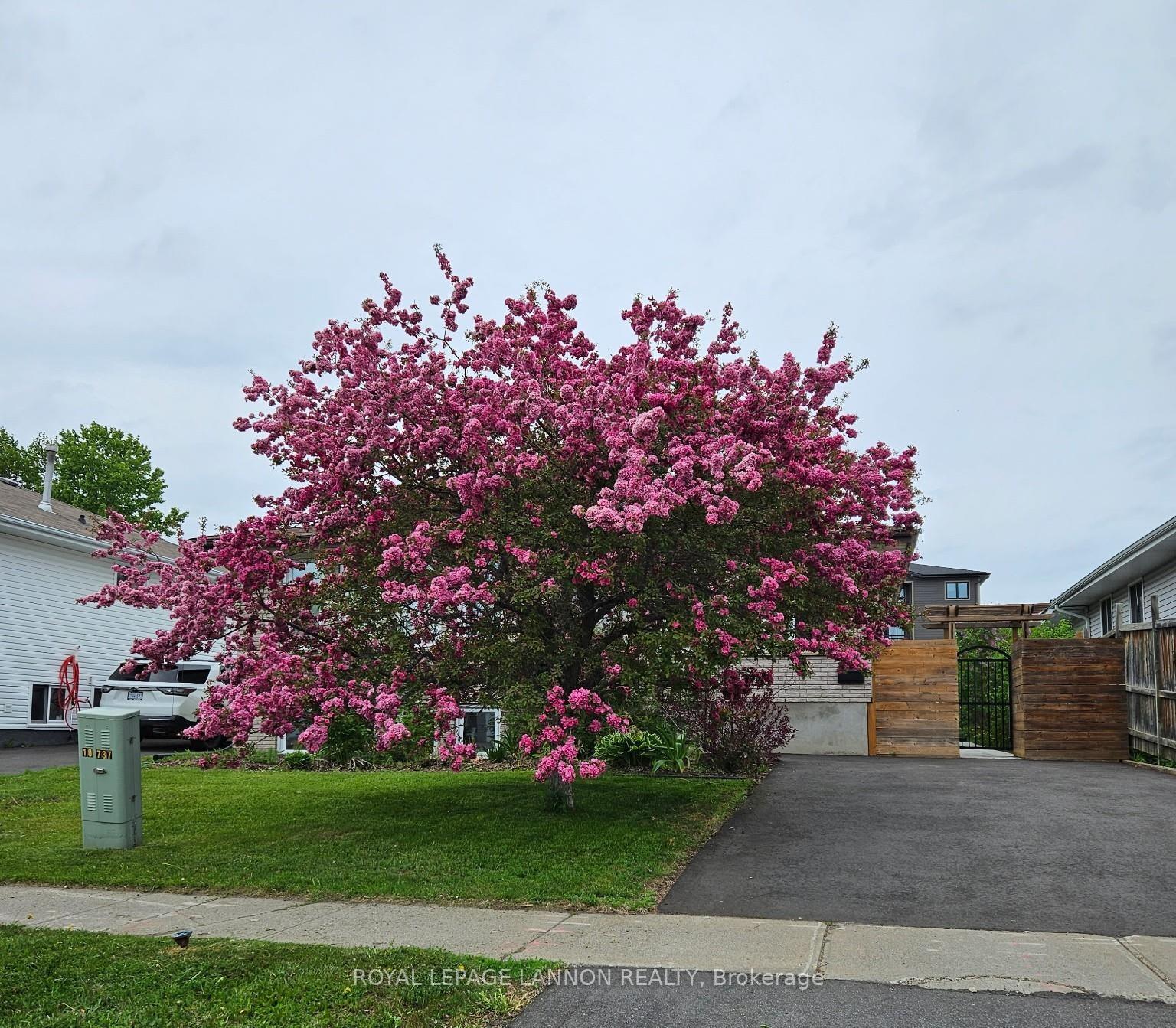Photo 48 of 49 Wasco Drive, Thunder Bay, John Street South — HOMEH