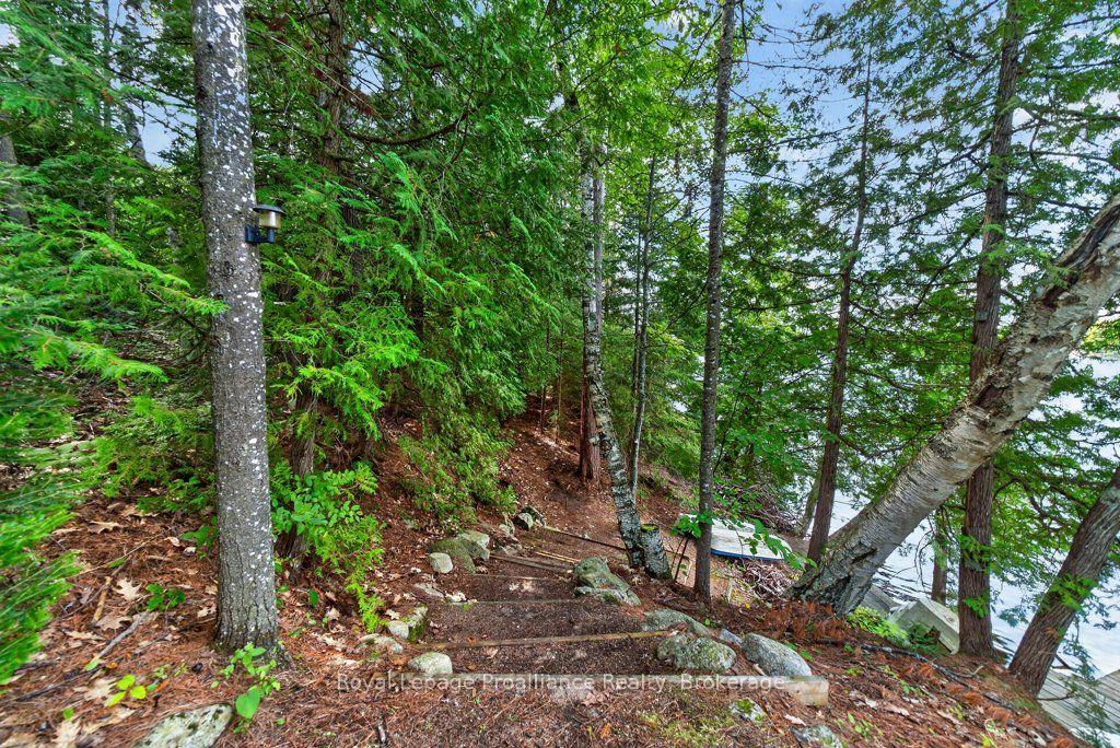 Photo 39 of 1138 Helen Lane, North Frontenac — HOMEH