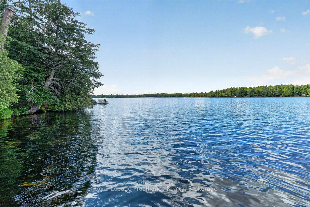 Photo 44 of 1138 Helen Lane, North Frontenac — HOMEH
