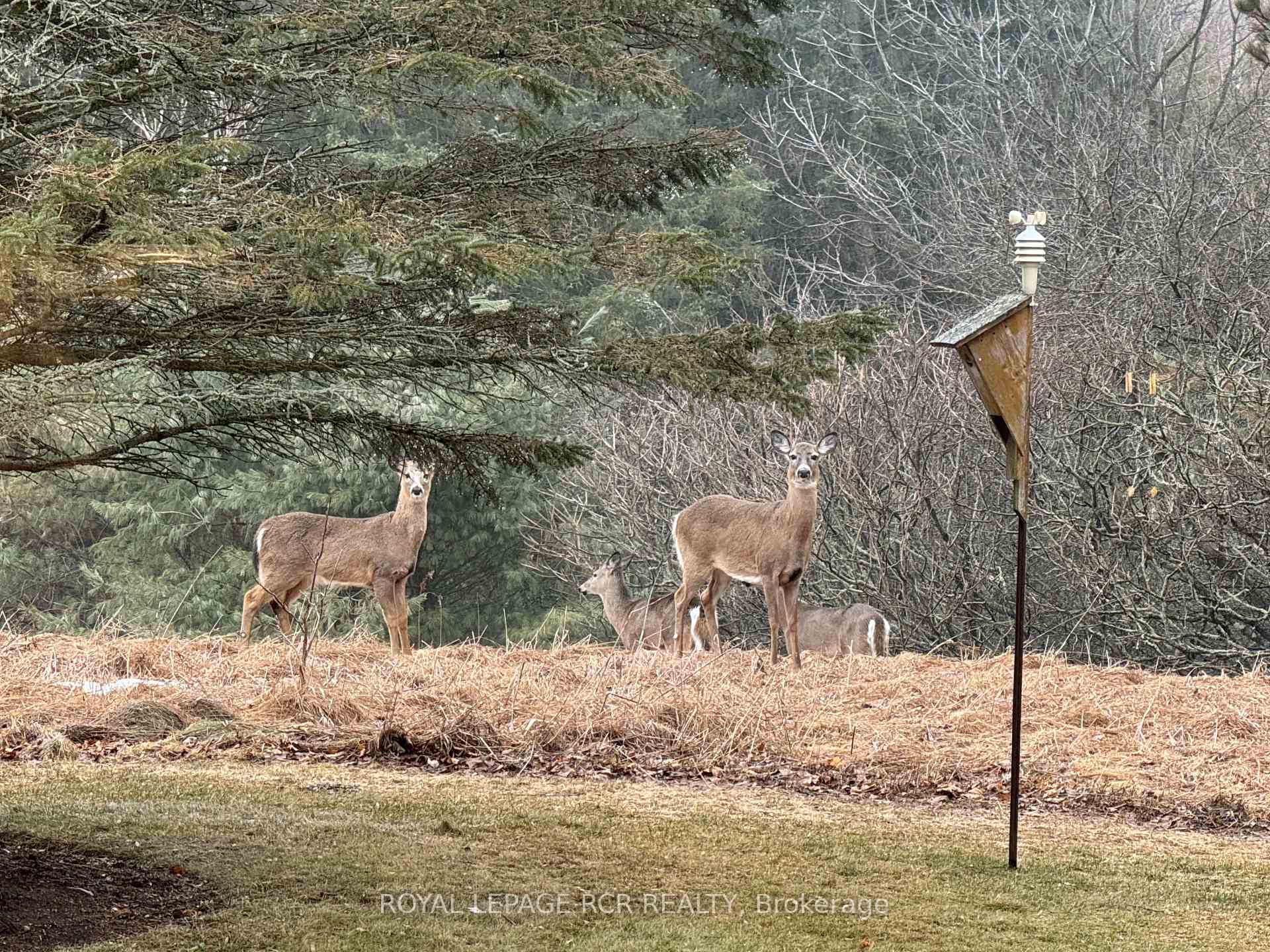Photo 40 of 17270 Highway 50 Road, Caledon, Palgrave — HOMEH