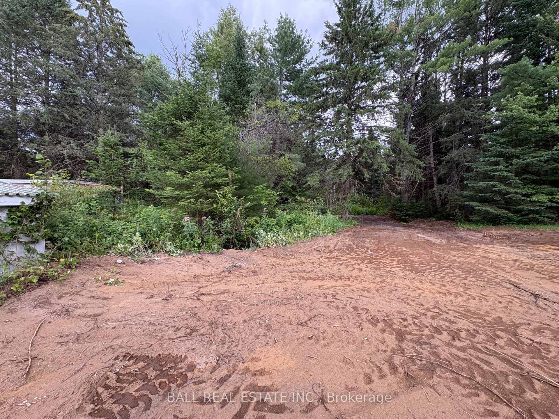 Photo 7 of The Avenue, Kawartha Lakes, Kinmount — HOMEH