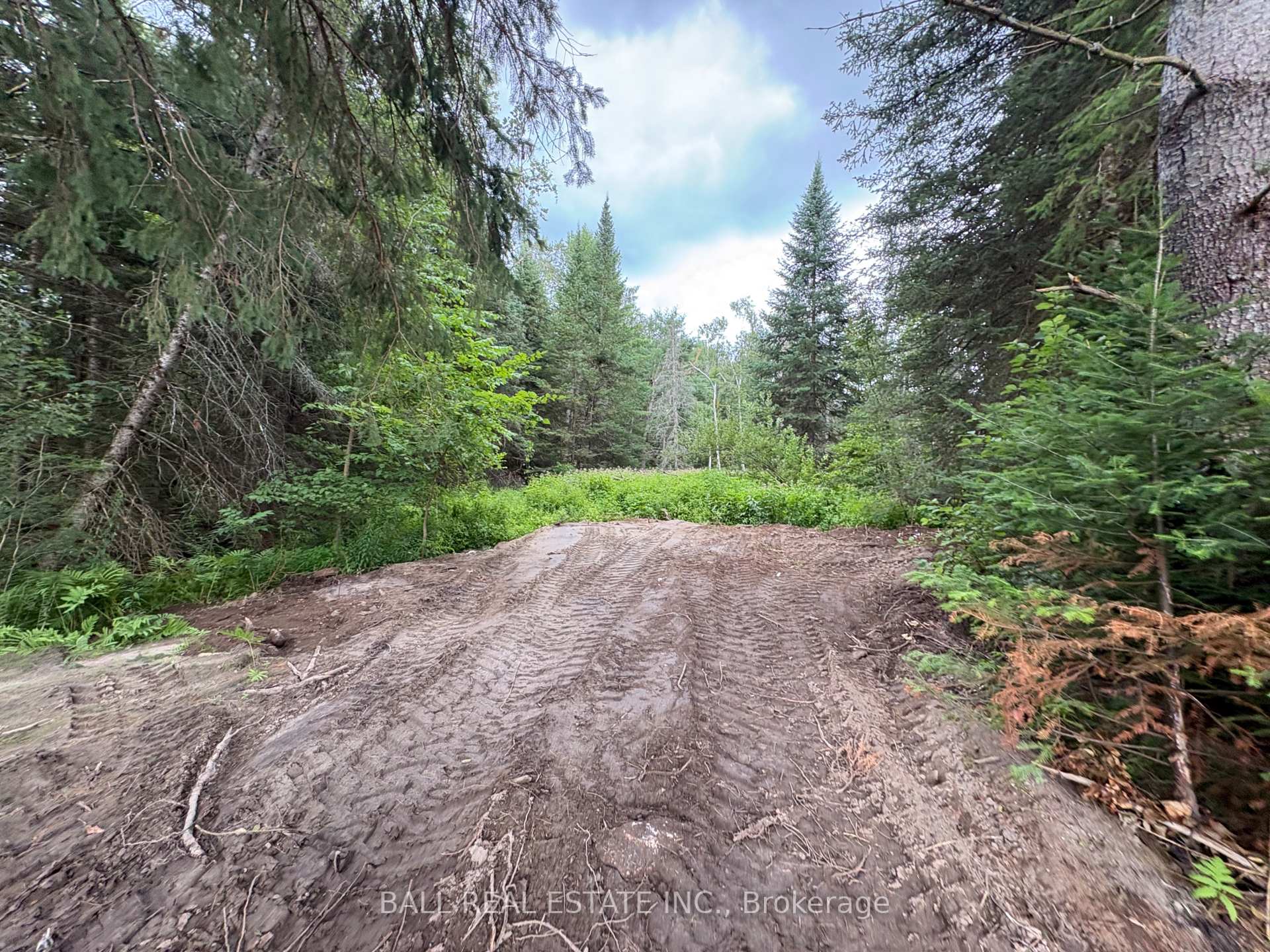Photo 8 of The Avenue, Kawartha Lakes, Kinmount — HOMEH