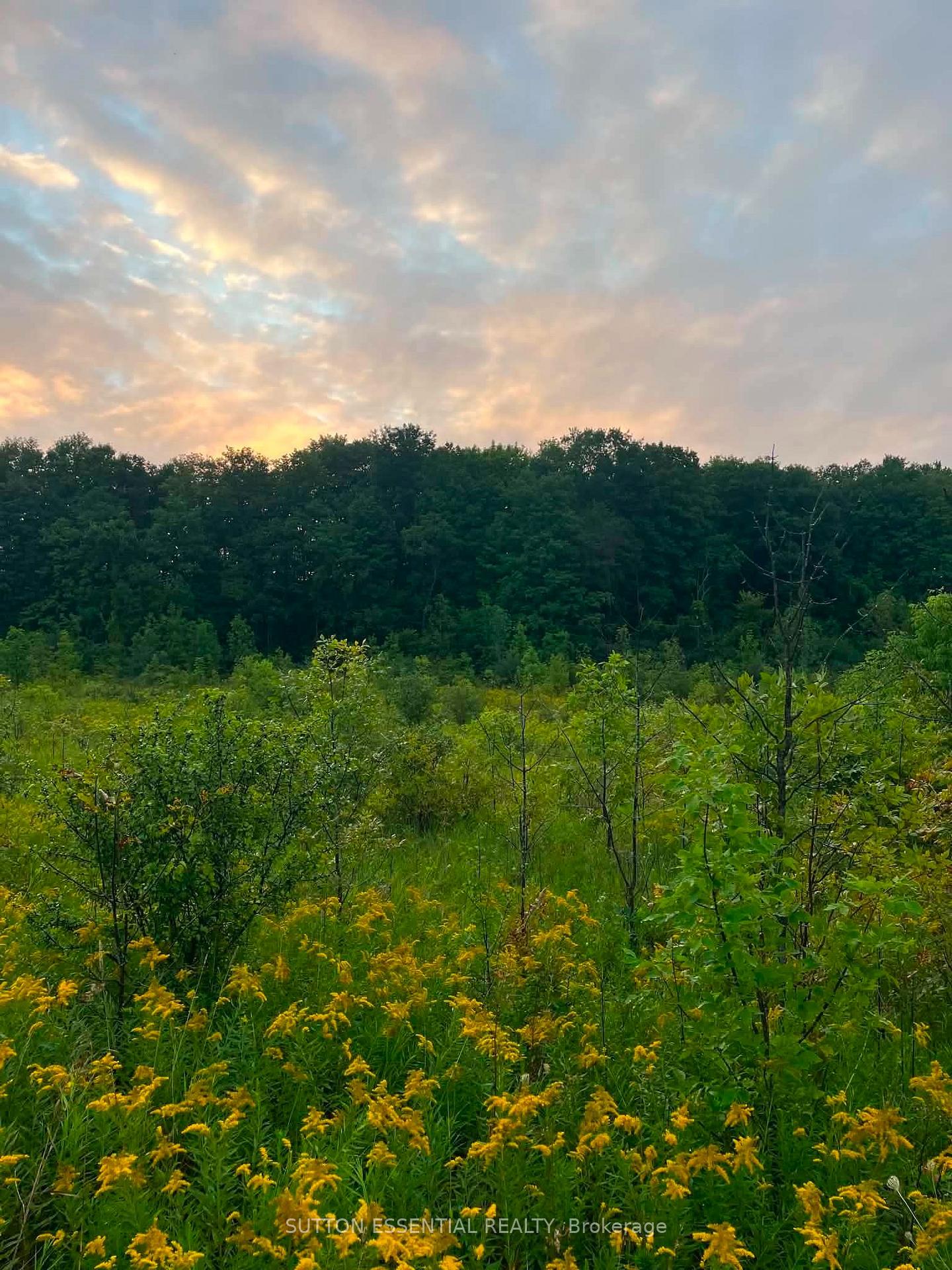 Photo 8 of County 46 Road, Elizabethtown-Kitley, Elizabethtown Kitley (Old Kitley) Twp — HOMEH