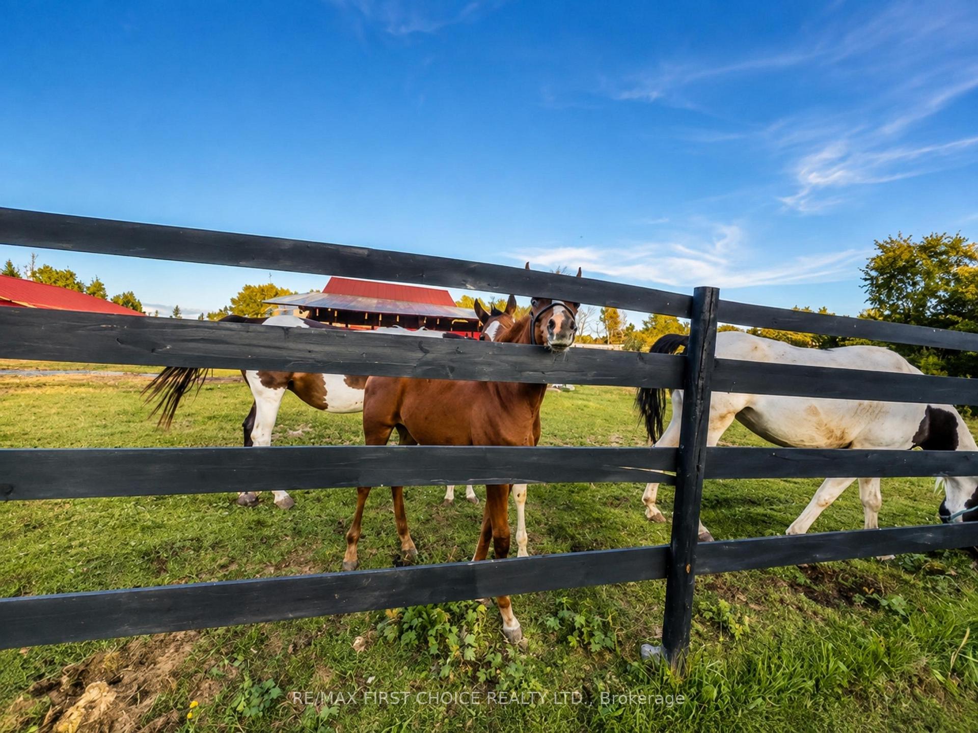 Photo 17 of 661 Stewart Road, Alberton, TB-401 — HOMEH
