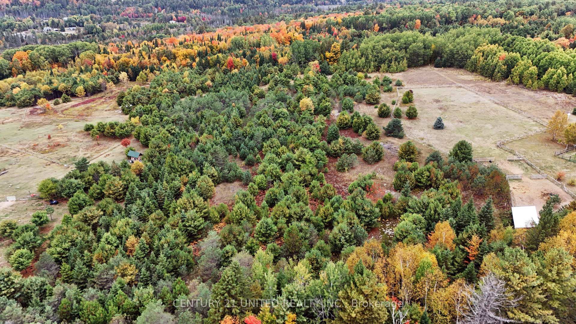 Photo 2 of McLean Road, Hastings Highlands, Monteagle Ward — HOMEH