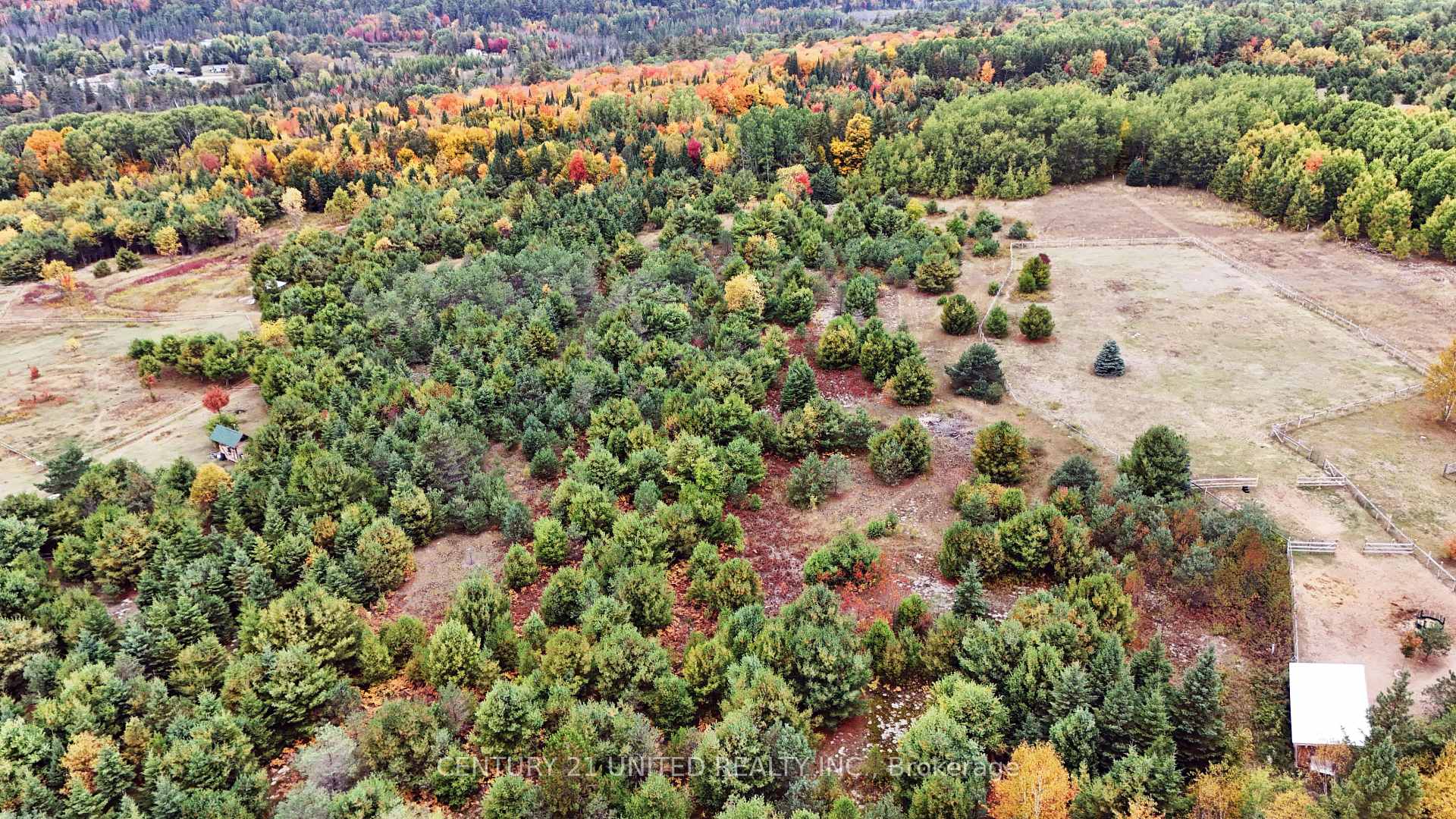 Photo 3 of McLean Road, Hastings Highlands, Monteagle Ward — HOMEH