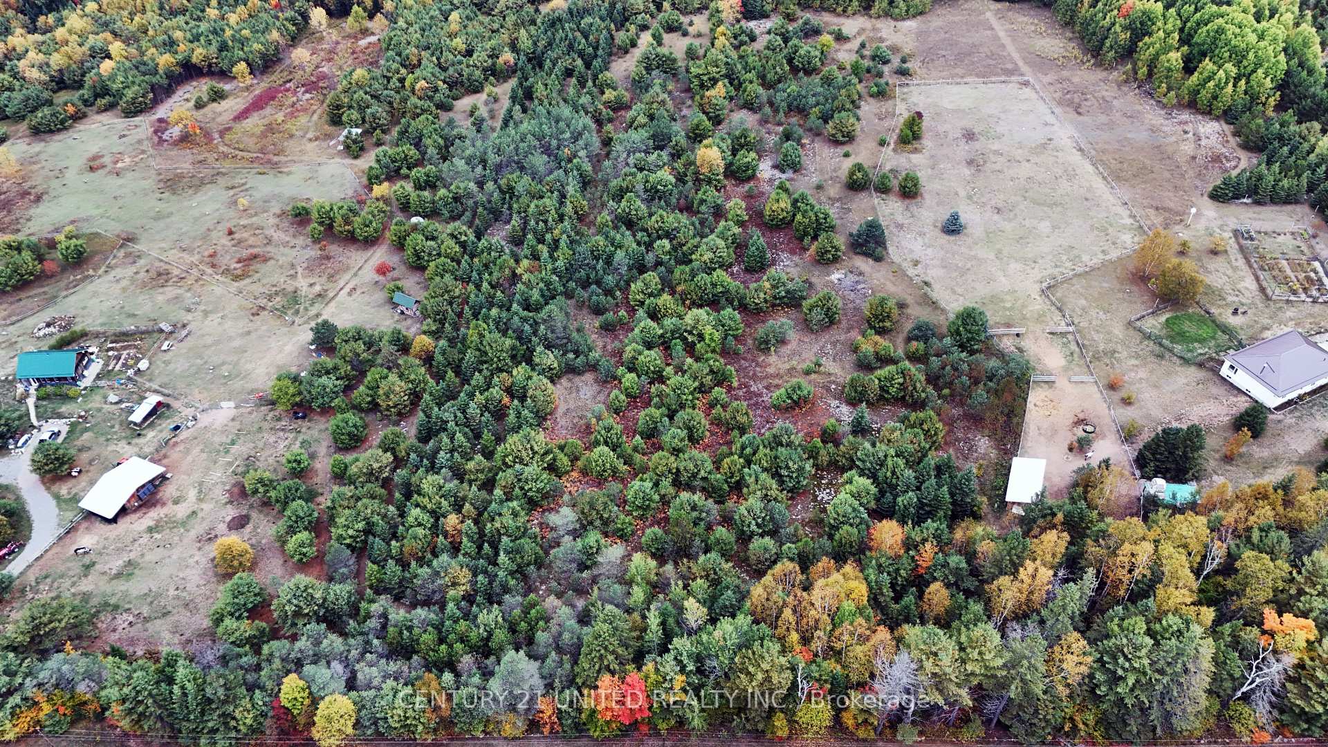 Photo 5 of McLean Road, Hastings Highlands, Monteagle Ward — HOMEH