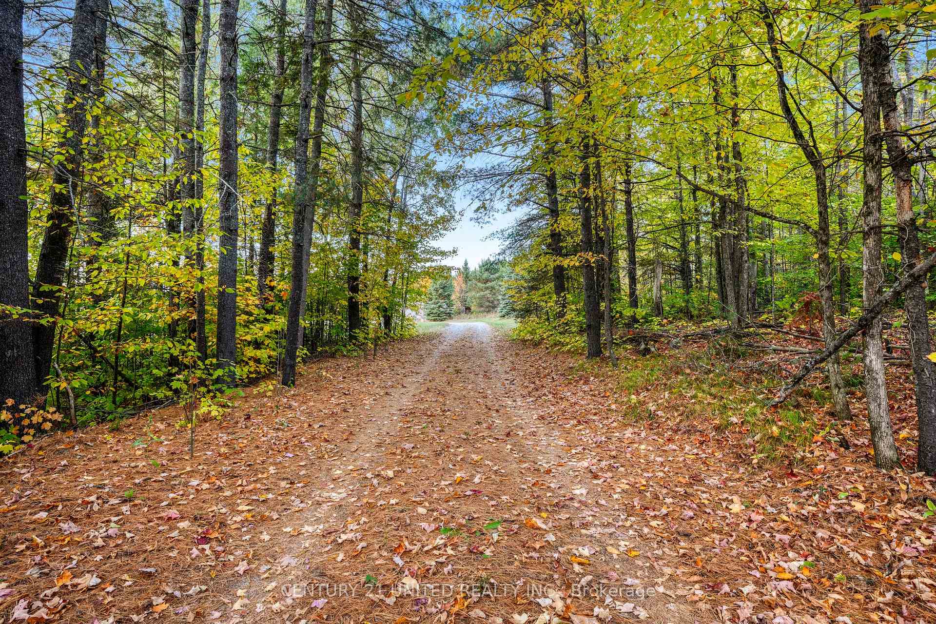 Photo 3 of 31 McLean Road, Hastings Highlands, Monteagle Ward — HOMEH