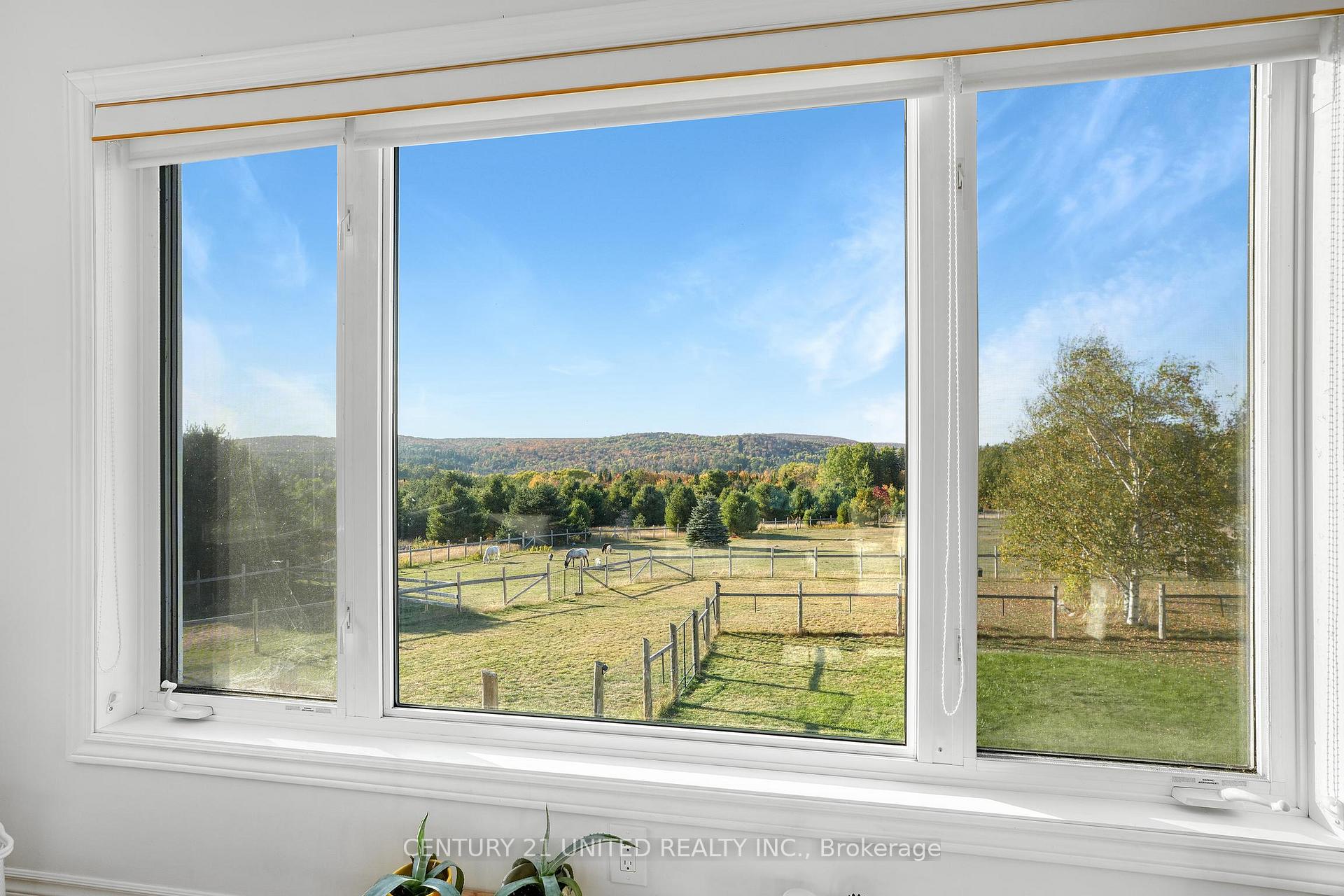 Photo 11 of 31 McLean Road, Hastings Highlands, Monteagle Ward — HOMEH
