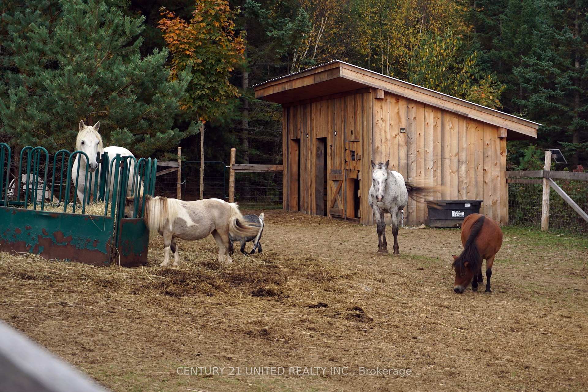 Photo 31 of 31 McLean Road, Hastings Highlands, Monteagle Ward — HOMEH