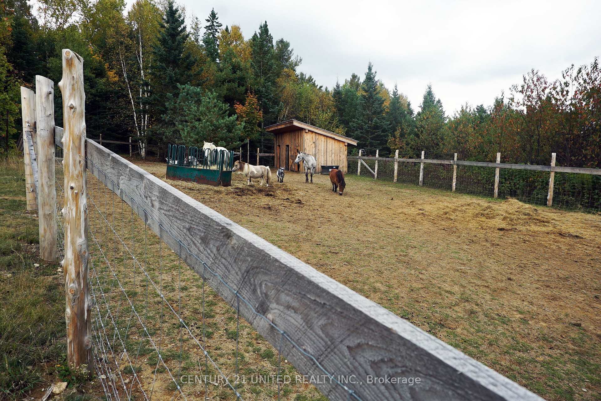 Photo 32 of 31 McLean Road, Hastings Highlands, Monteagle Ward — HOMEH