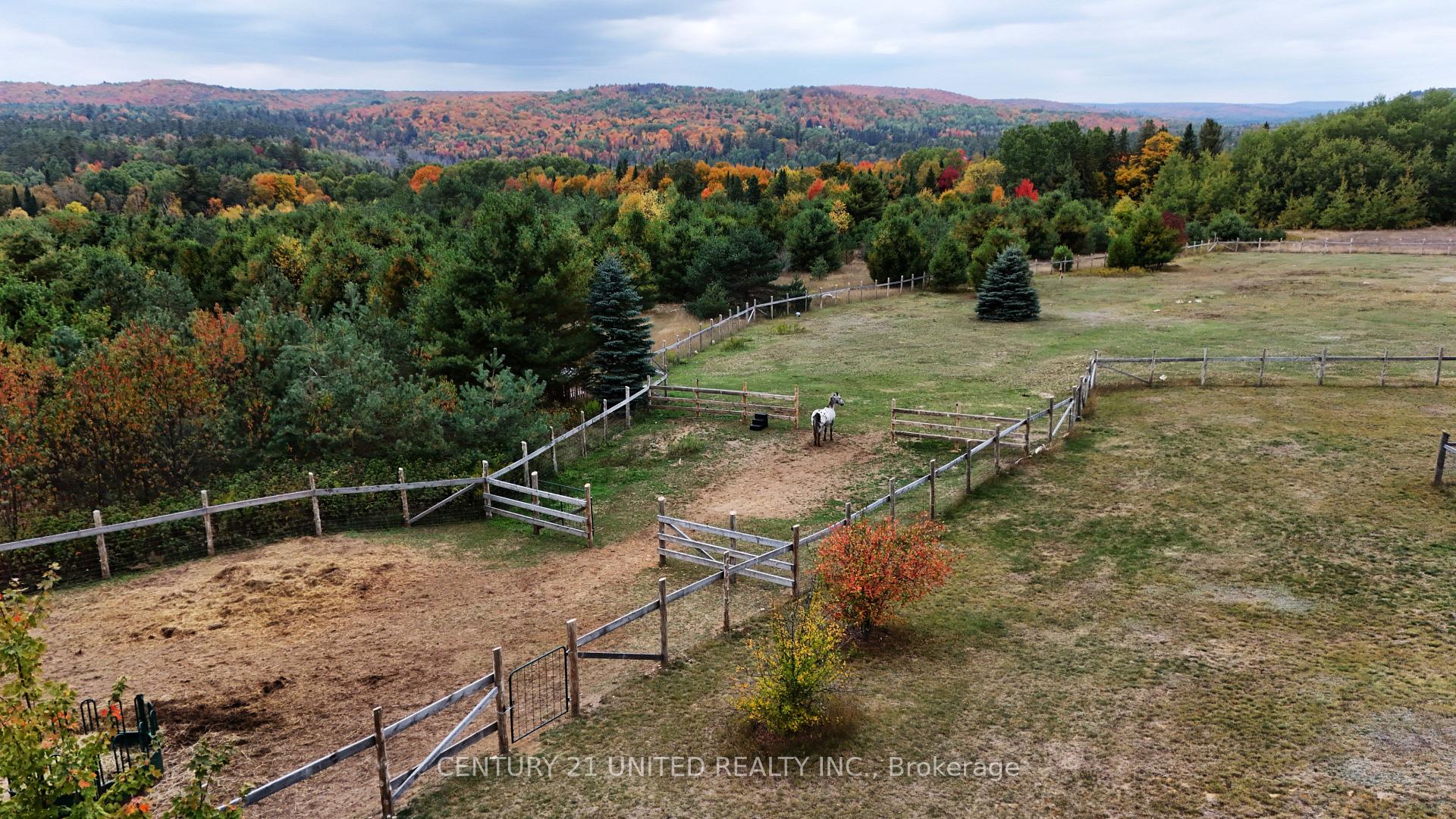 Photo 33 of 31 McLean Road, Hastings Highlands, Monteagle Ward — HOMEH