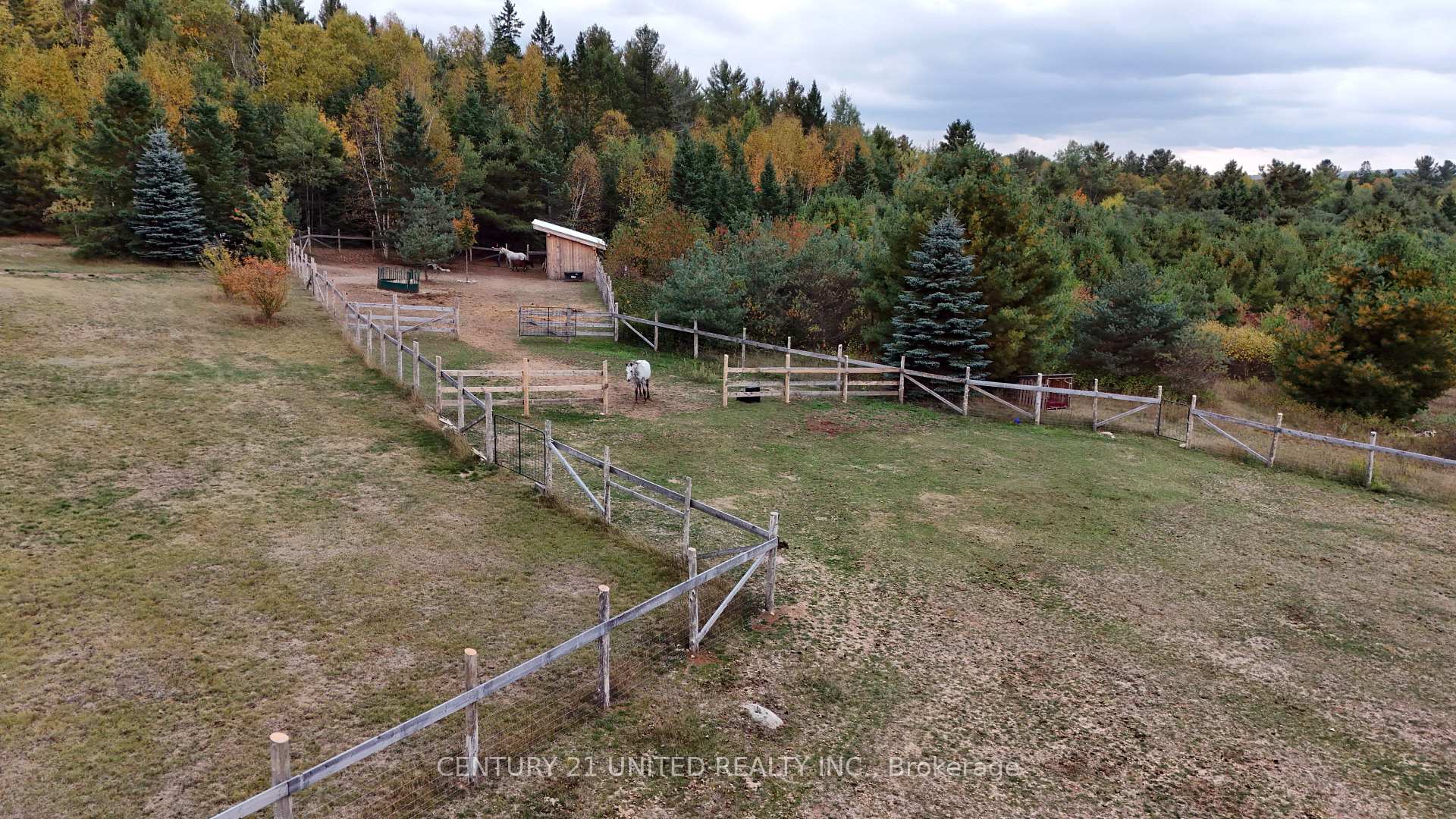 Photo 34 of 31 McLean Road, Hastings Highlands, Monteagle Ward — HOMEH