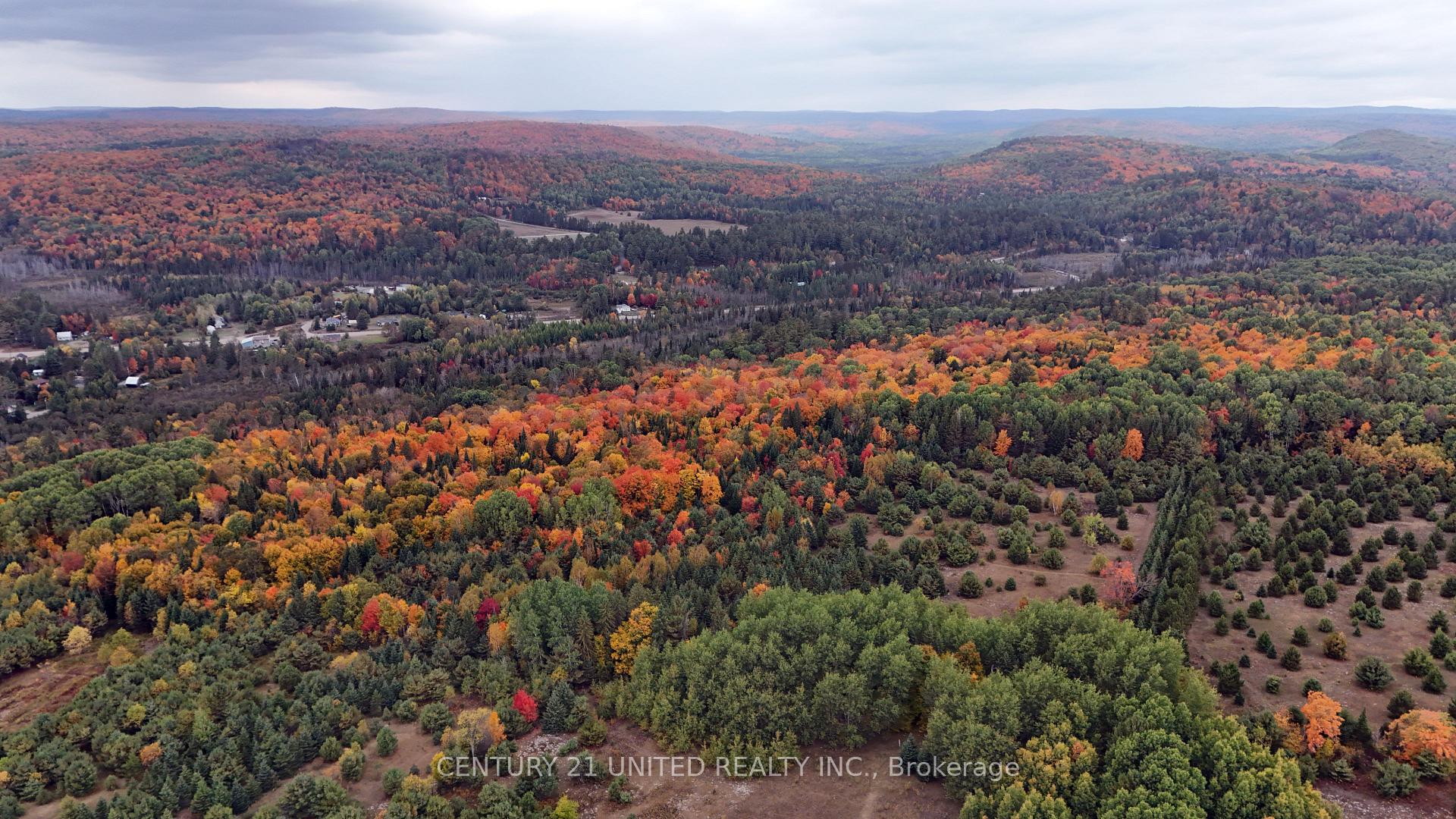 Photo 41 of 31 McLean Road, Hastings Highlands, Monteagle Ward — HOMEH