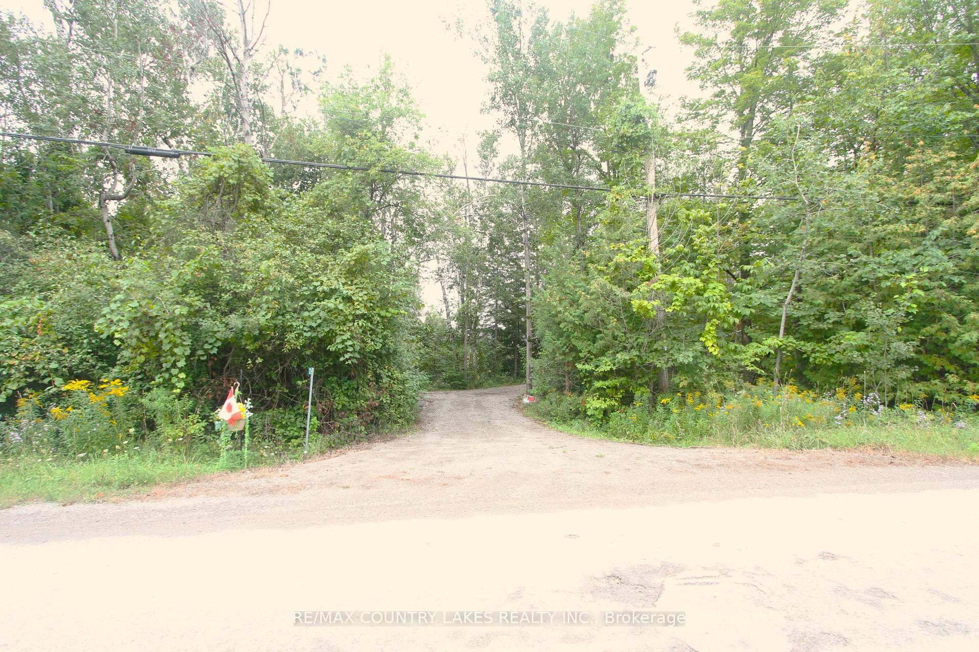 Photo 34 of 129 McGuire Beach Road, Kawartha Lakes, Carden — HOMEH