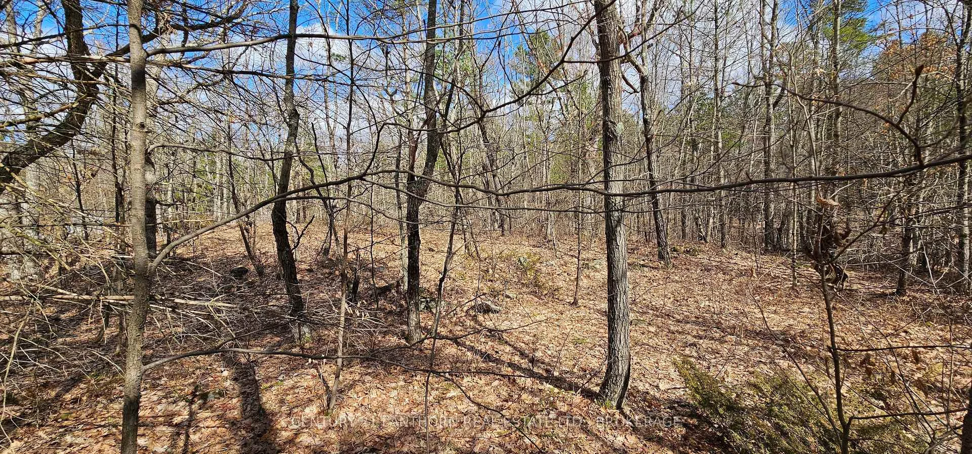 Photo 3 of 2 Gull Creek Road, Stone Mills — HOMEH