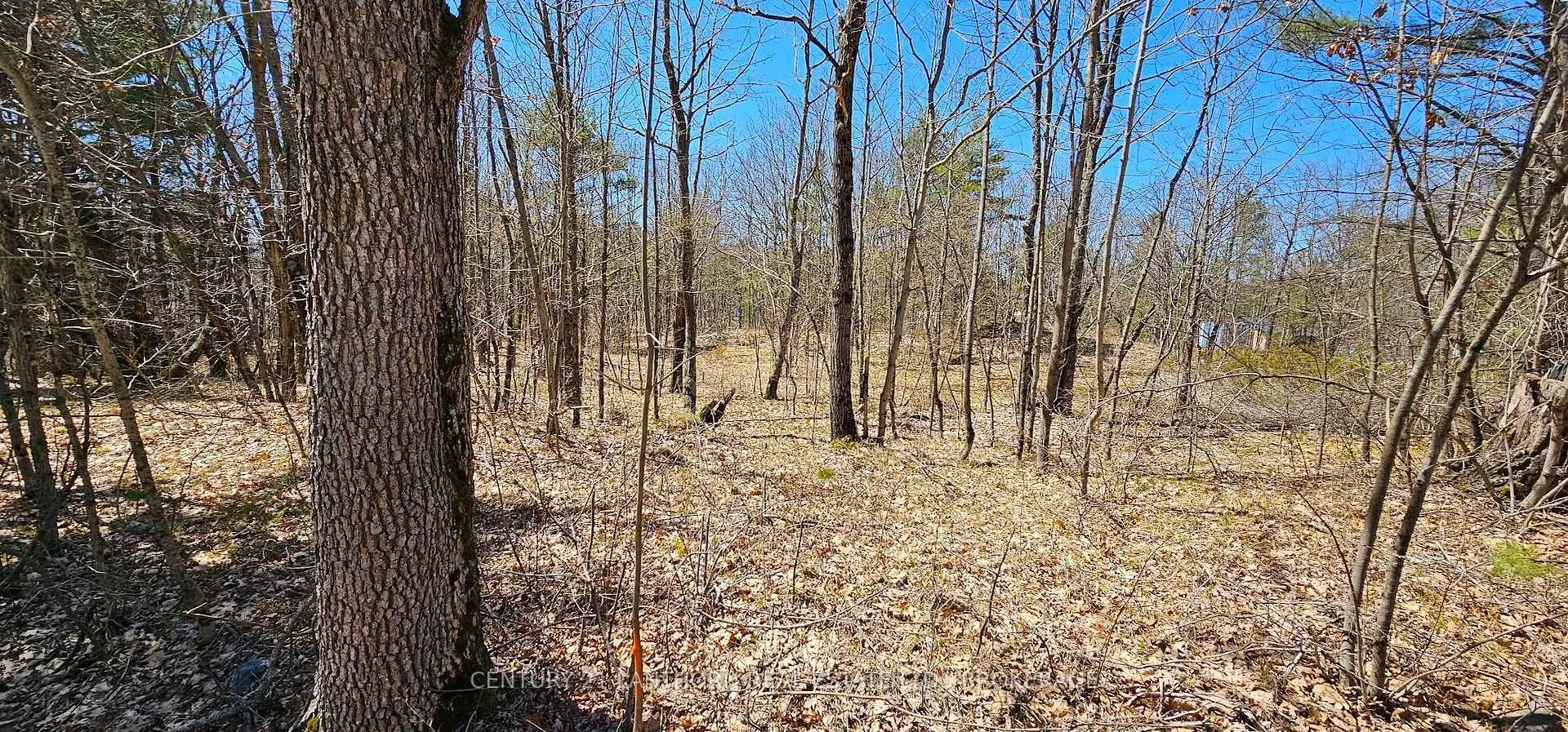 Photo 4 of 2 Gull Creek Road, Stone Mills — HOMEH