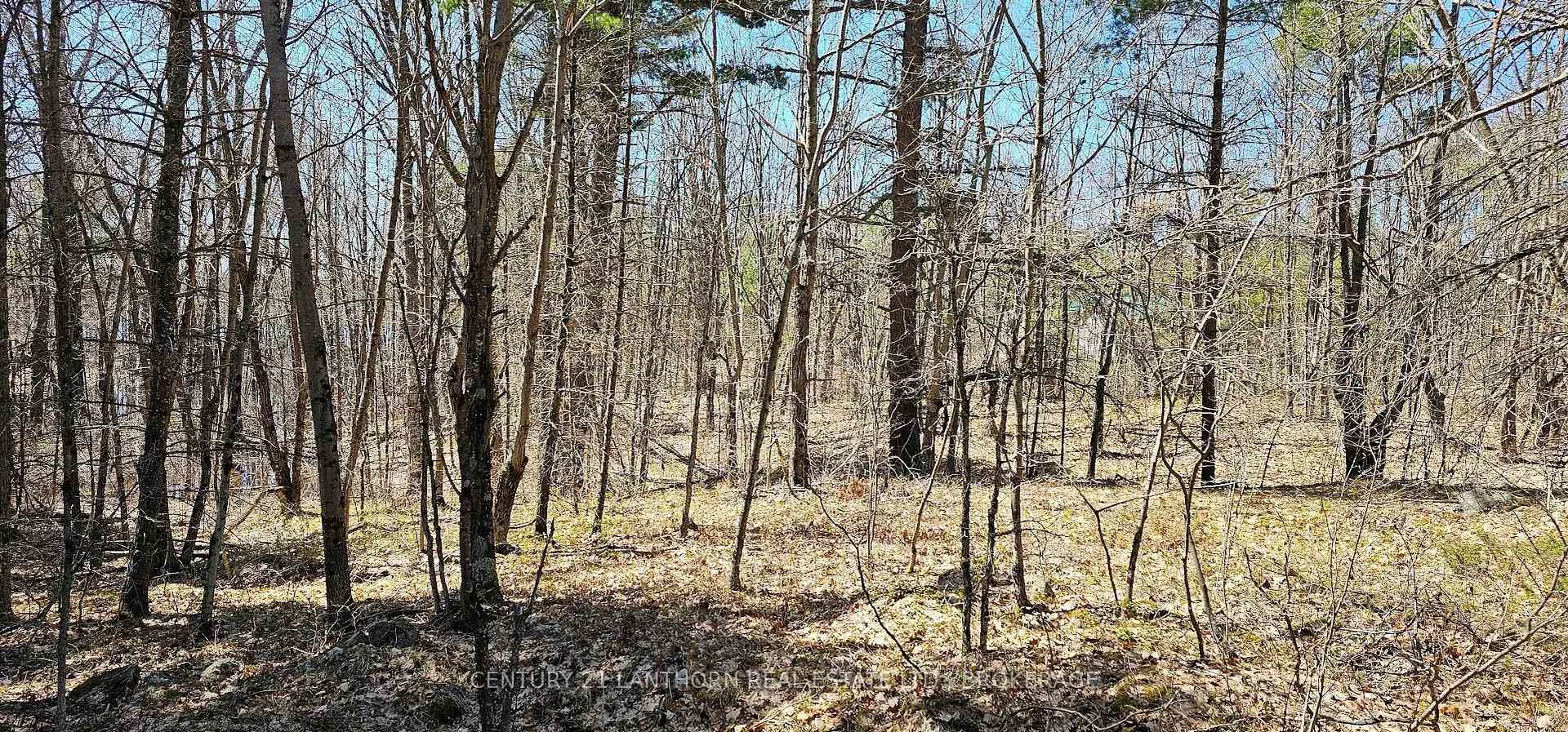 Photo 5 of 2 Gull Creek Road, Stone Mills — HOMEH