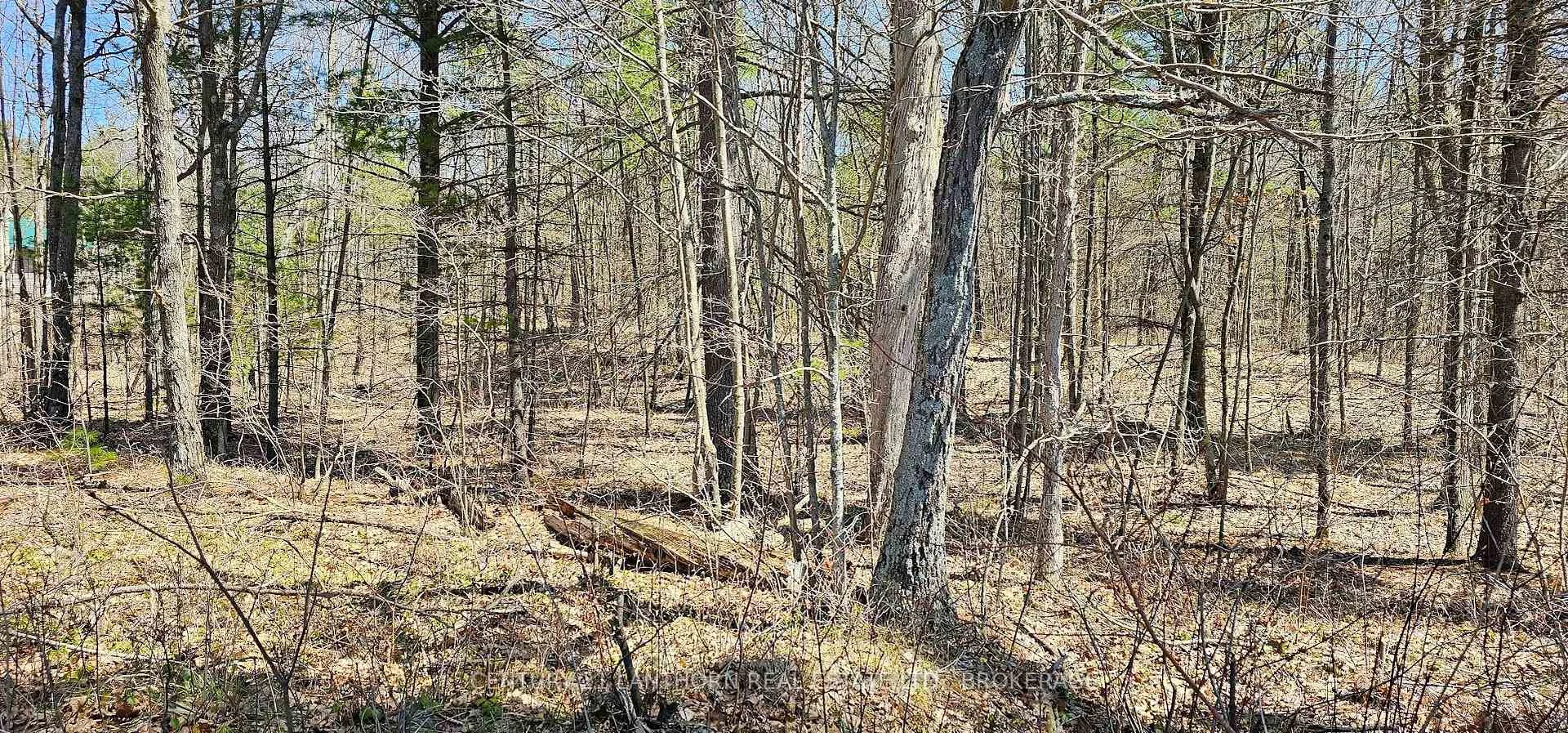 Photo 6 of 2 Gull Creek Road, Stone Mills — HOMEH