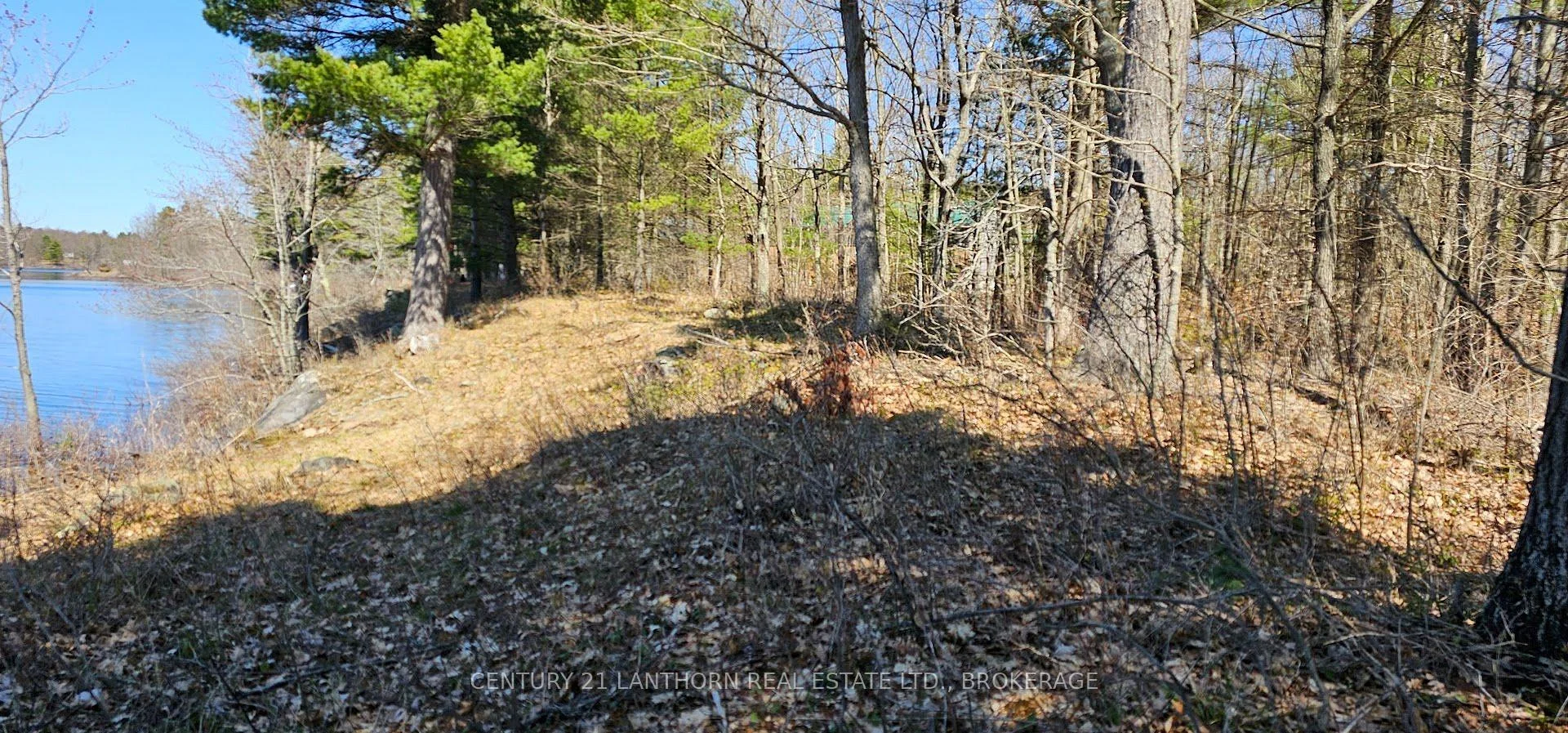 Photo 8 of 2 Gull Creek Road, Stone Mills — HOMEH