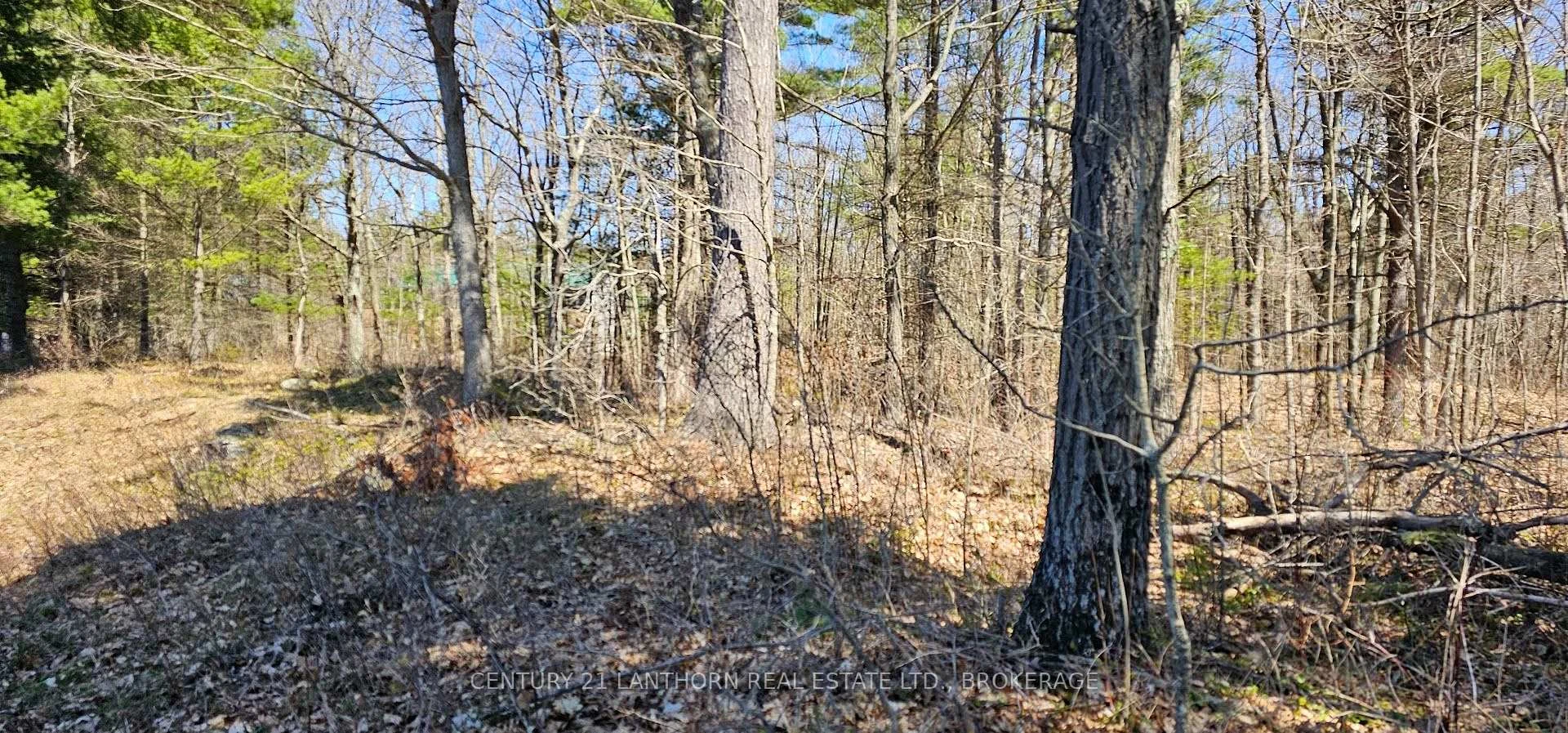 Photo 9 of 2 Gull Creek Road, Stone Mills — HOMEH