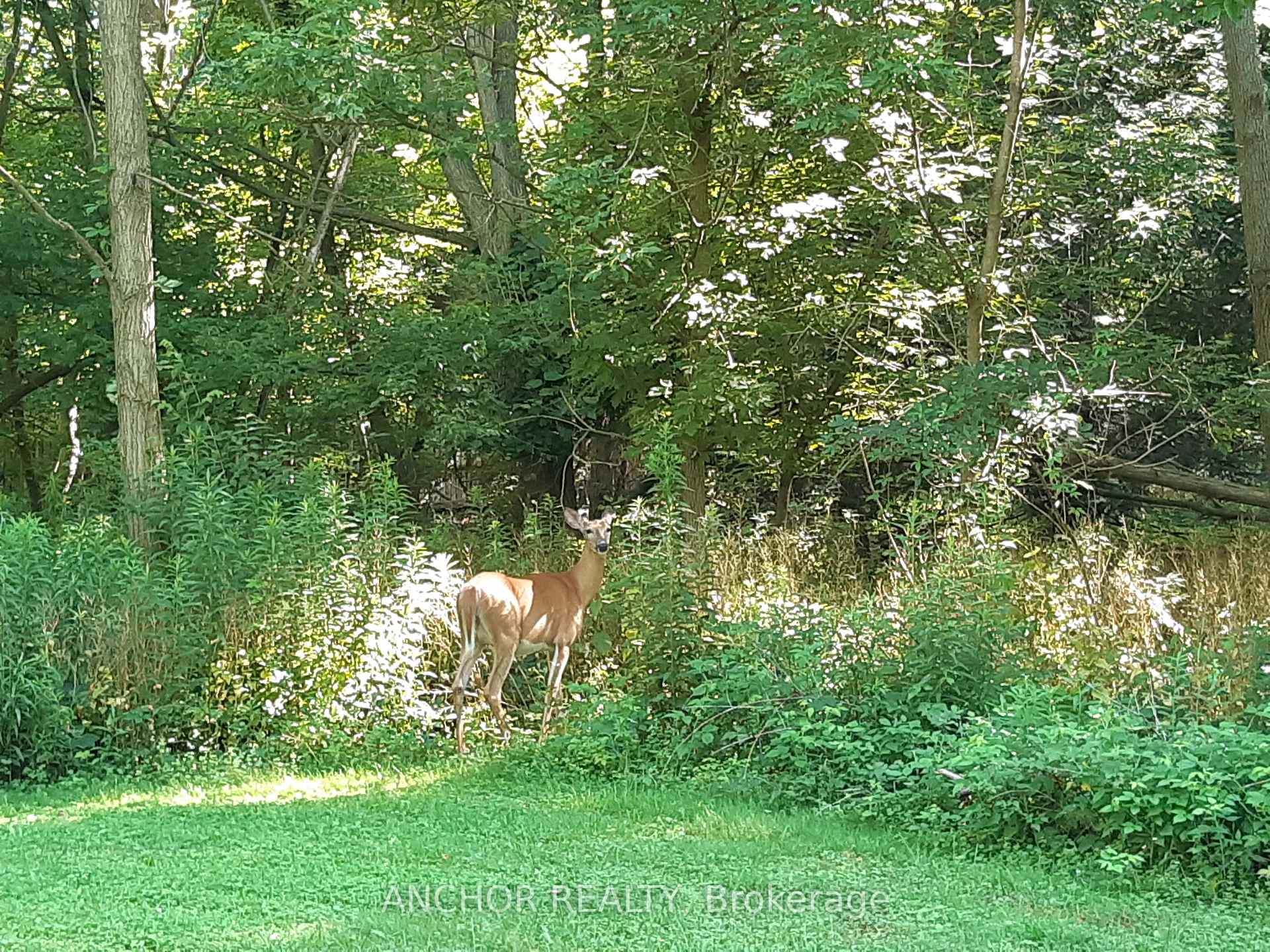 Photo 17 of 65 Cove Road, London, South D — HOMEH