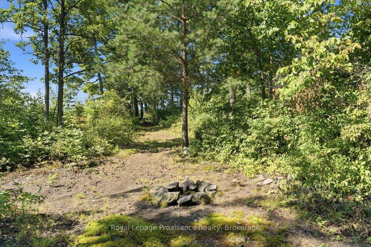 Photo 38 of 14C Boat Launch Road, Centre Hastings — HOMEH