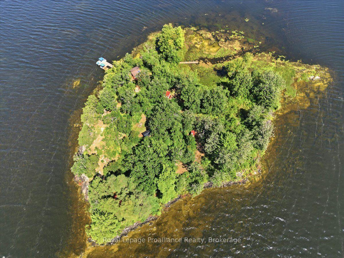Photo 41 of 14C Boat Launch Road, Centre Hastings — HOMEH