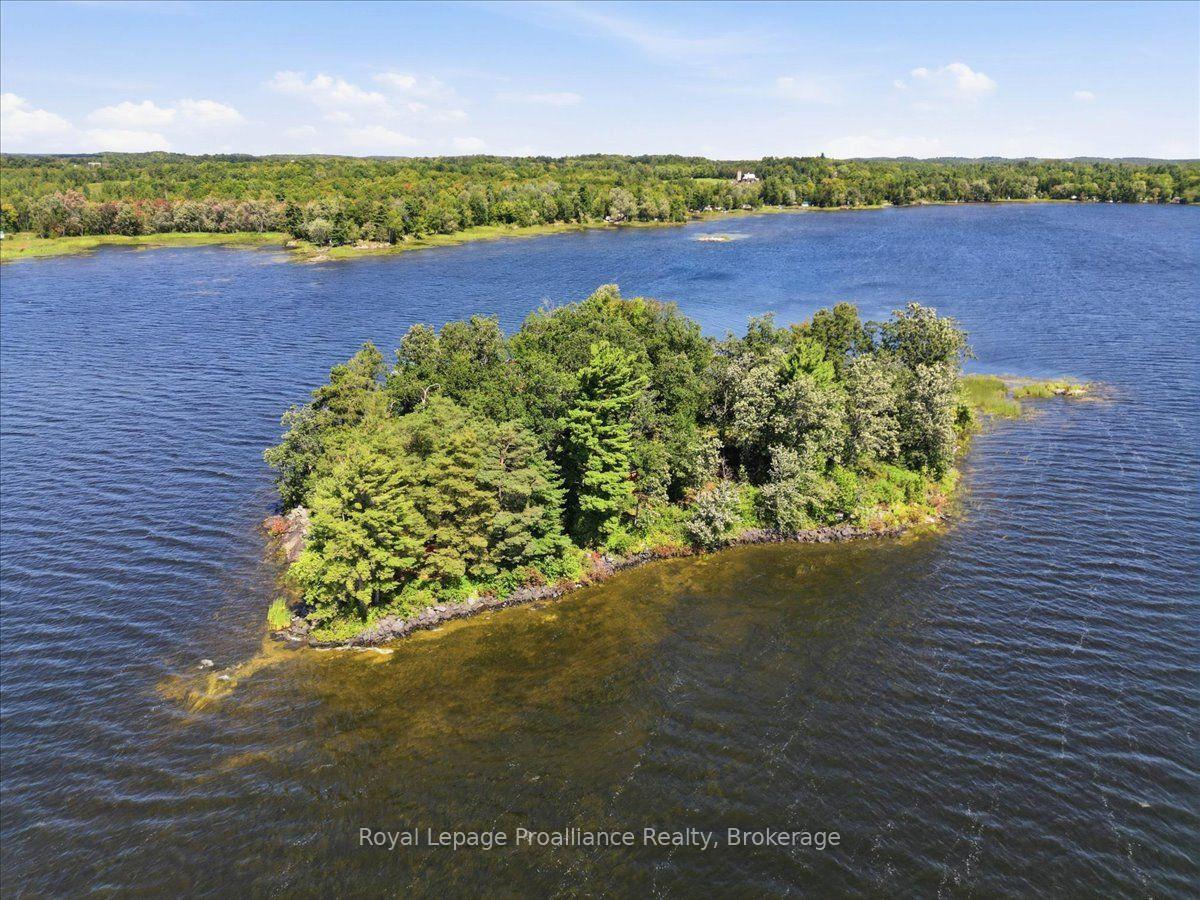Photo 42 of 14C Boat Launch Road, Centre Hastings — HOMEH