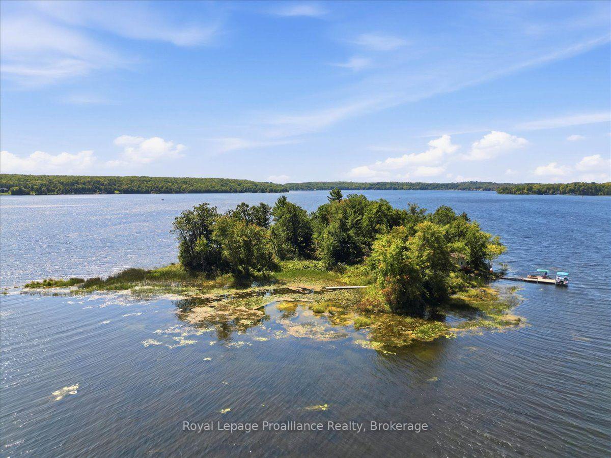 Photo 45 of 14C Boat Launch Road, Centre Hastings — HOMEH