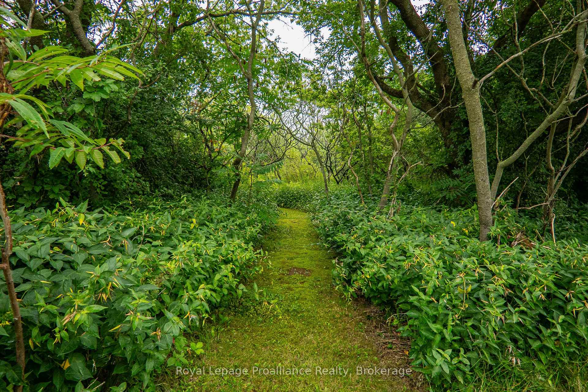 Photo 50 of 10 Hobbs Road, Brighton, Rural Brighton — HOMEH