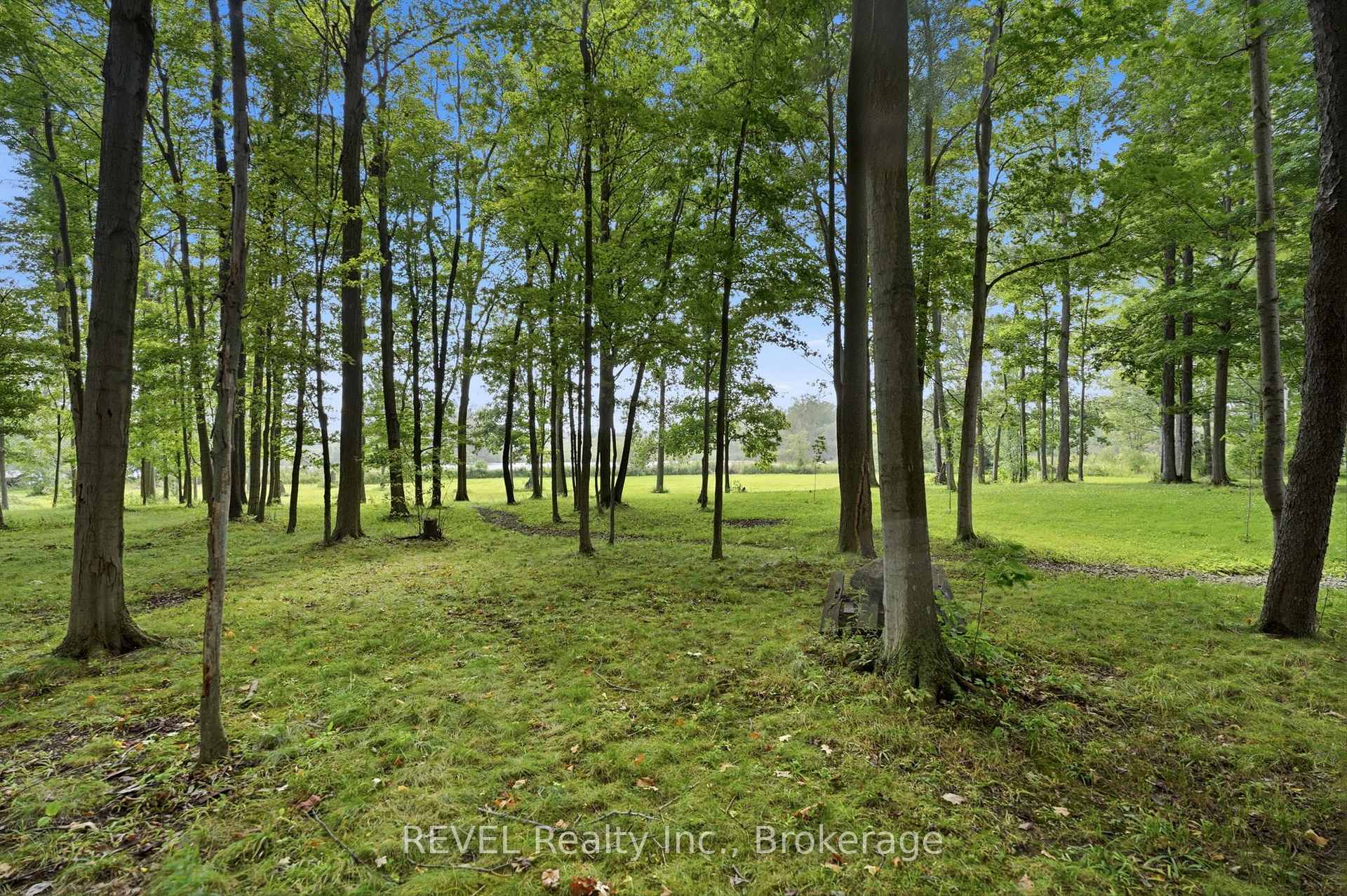 Photo 39 of 1247 Chippawa Creek Road, Thorold, Port Robinson — HOMEH