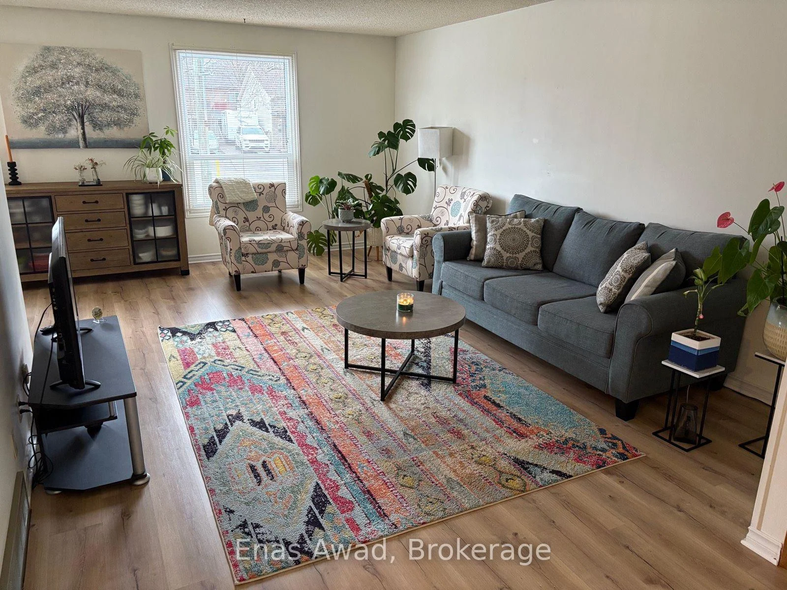 Photo 9 of 70 Churchill Street, Waterloo, Maple Hills — HOMEH