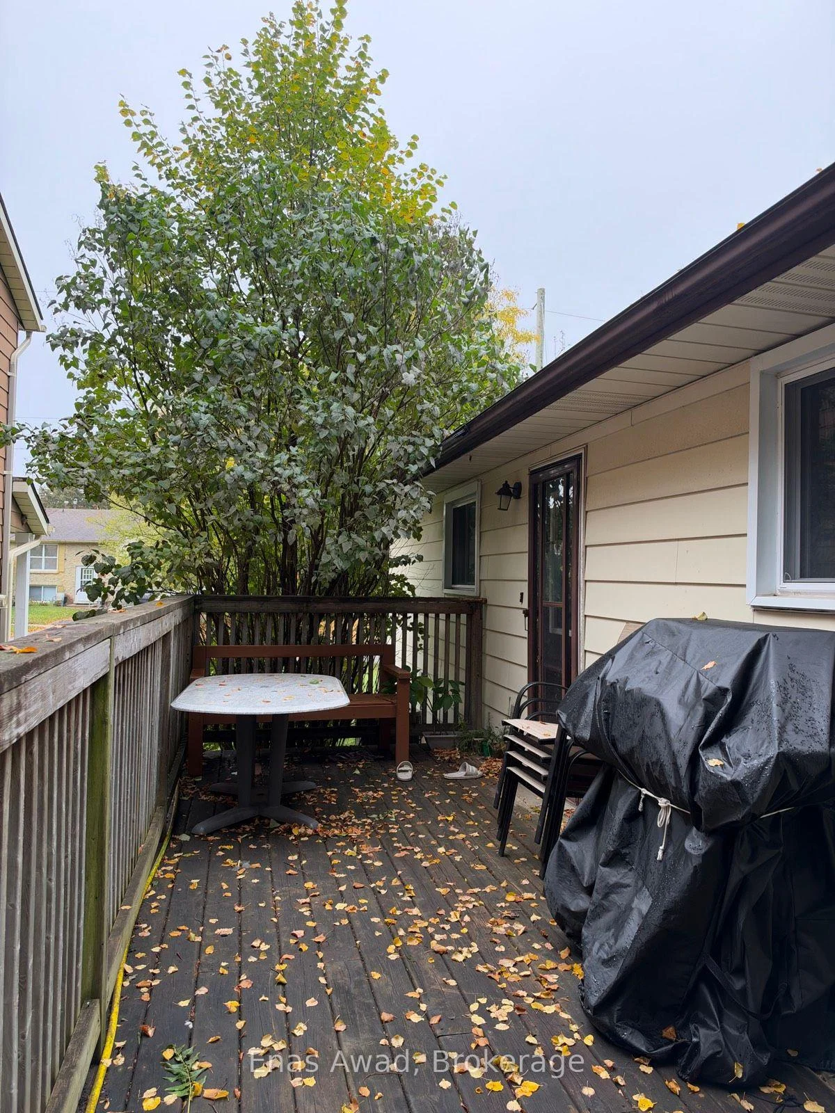 Photo 32 of 70 Churchill Street, Waterloo, Maple Hills — HOMEH