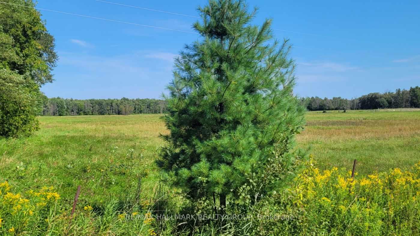 Photo 2 of 0000 Skakum Road, Augusta, Augusta Twp — HOMEH