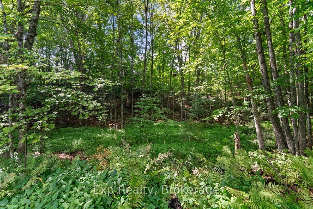 Photo 41 of 26 Sherbourne Street N, Bancroft, Bancroft Ward — HOMEH