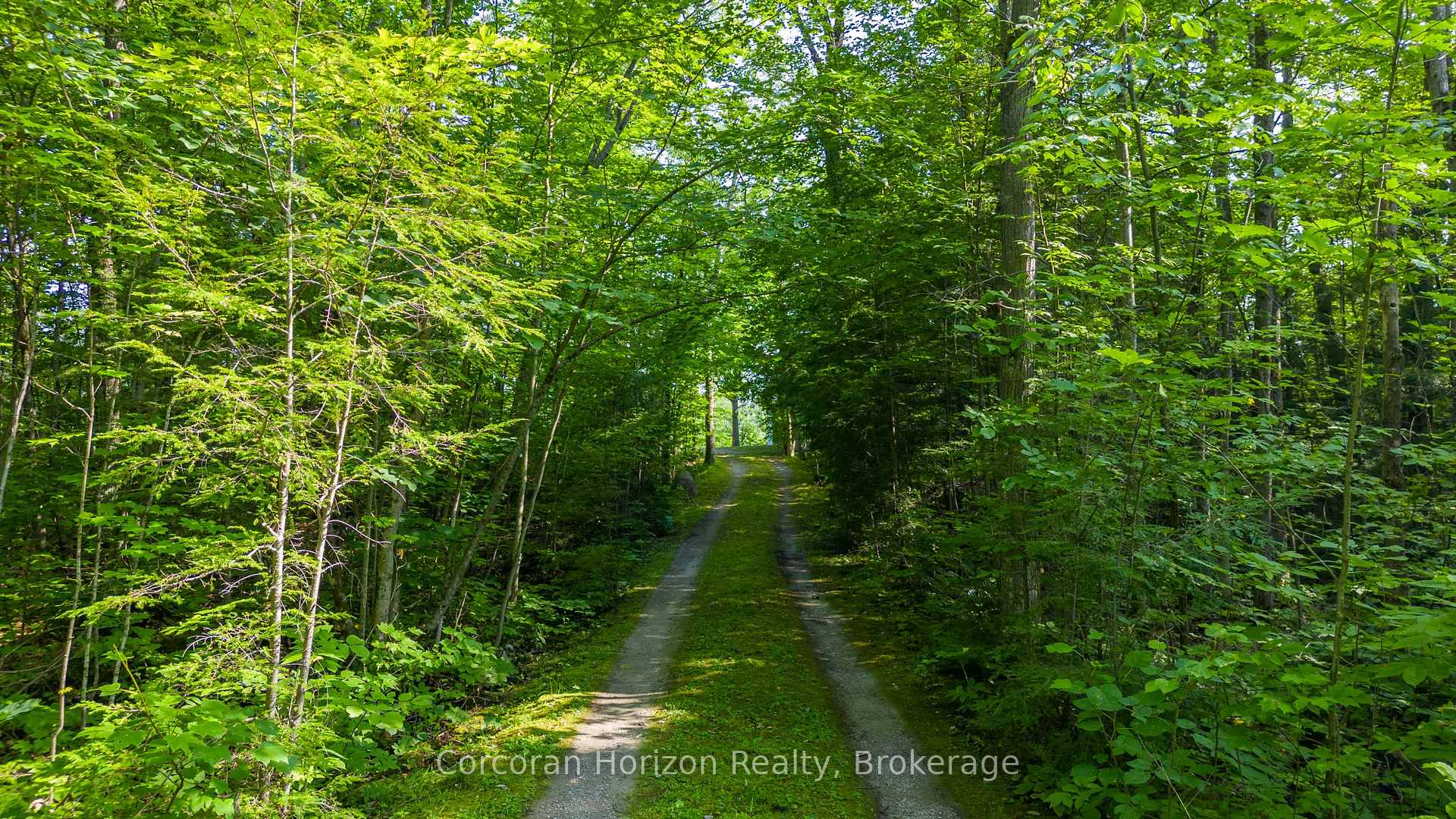 Photo 9 of 959 Harrison Trail, Georgian Bay, Freeman — HOMEH