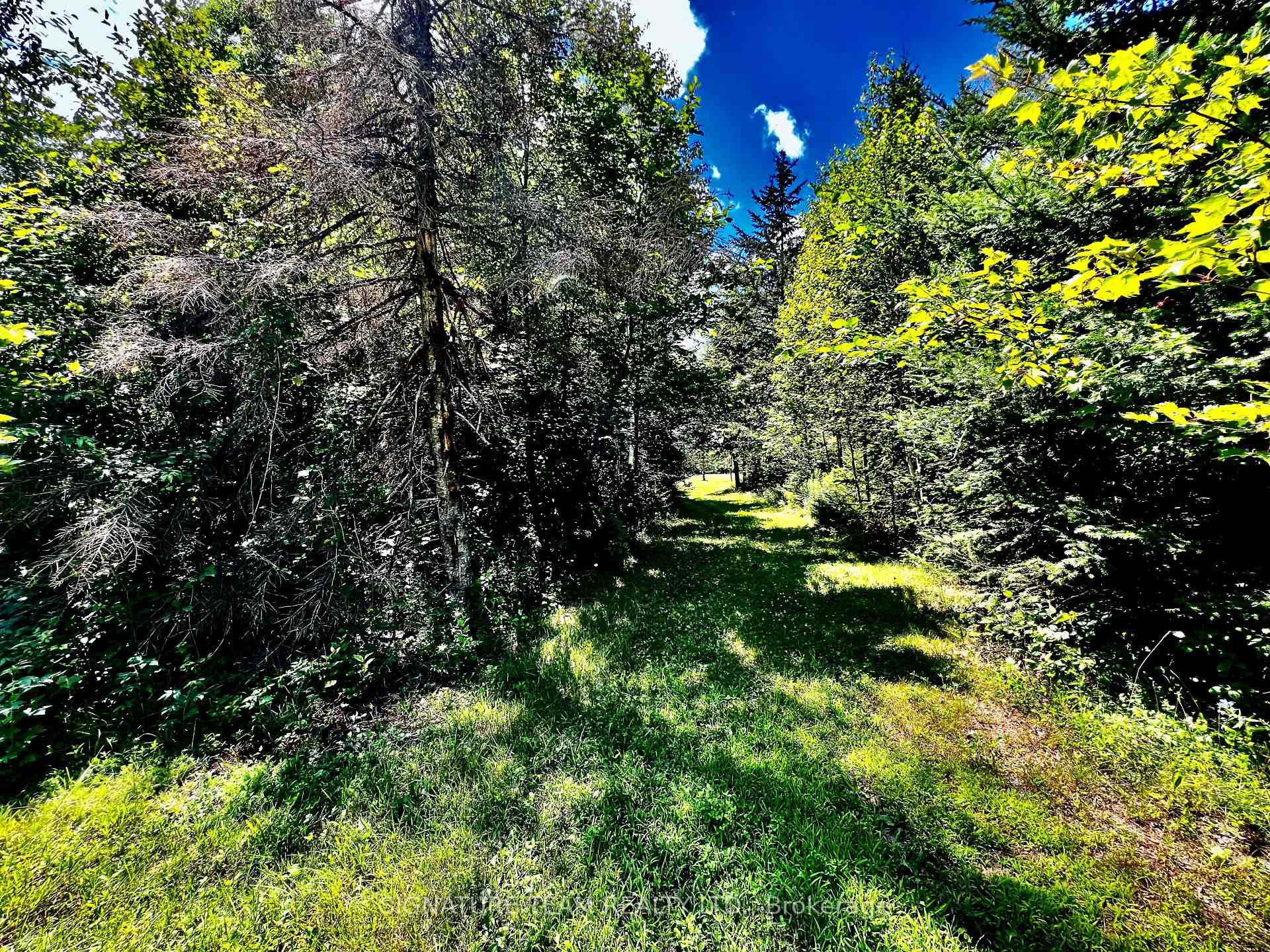 Photo 22 of 174 Budd Road, Bonnechere Valley, Eganville/Bonnechere Twp — HOMEH