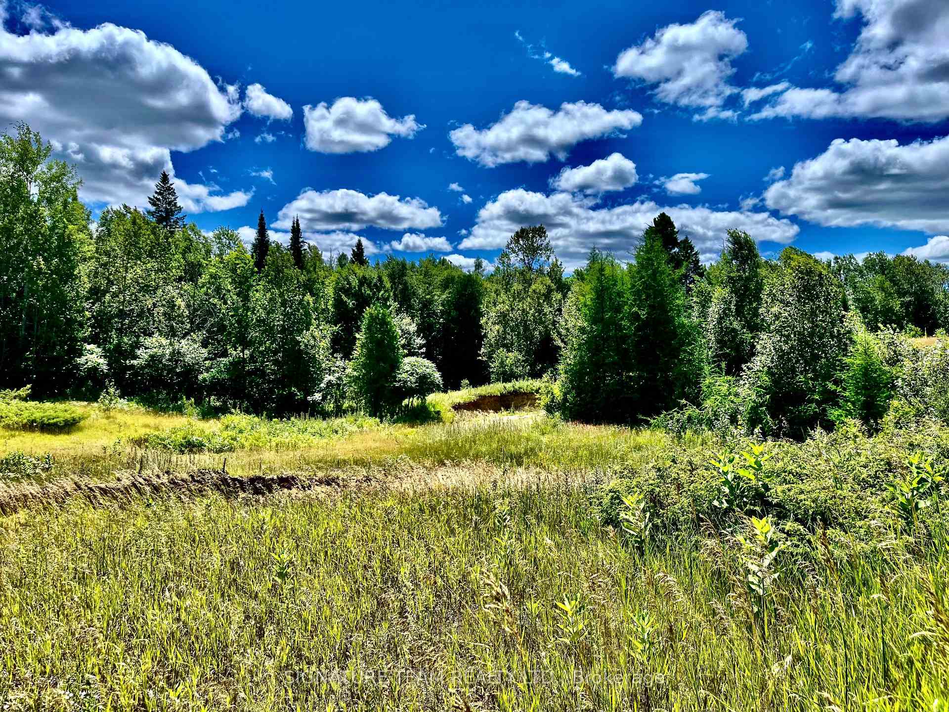 Photo 34 of 174 Budd Road, Bonnechere Valley, Eganville/Bonnechere Twp — HOMEH