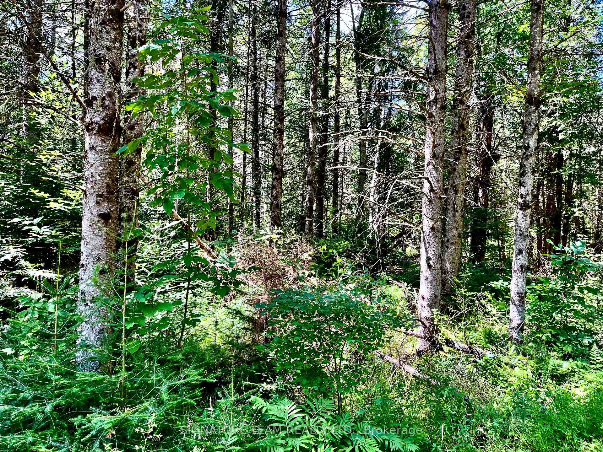 Photo 40 of 174 Budd Road, Bonnechere Valley, Eganville/Bonnechere Twp — HOMEH