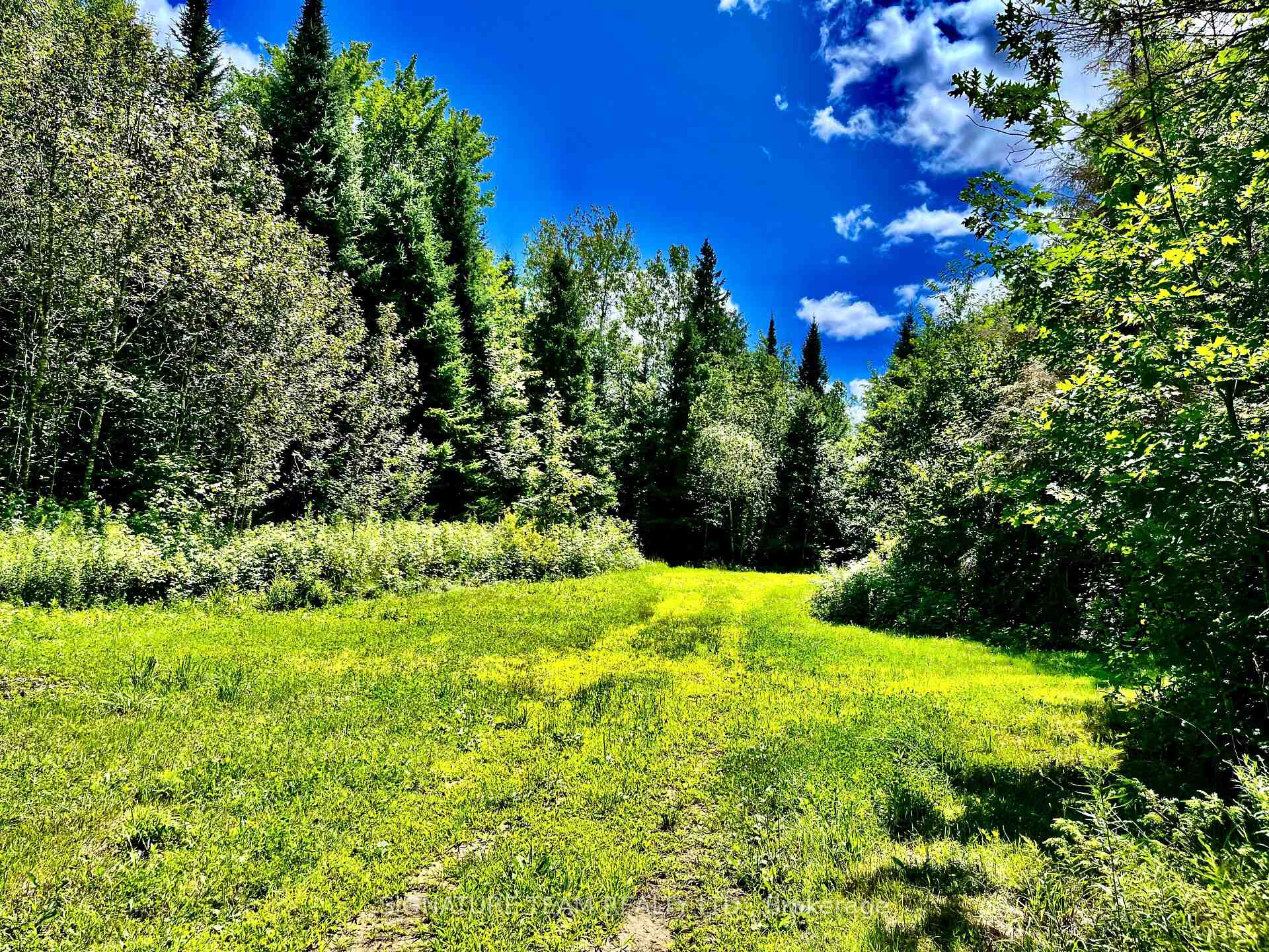 Photo 41 of 174 Budd Road, Bonnechere Valley, Eganville/Bonnechere Twp — HOMEH