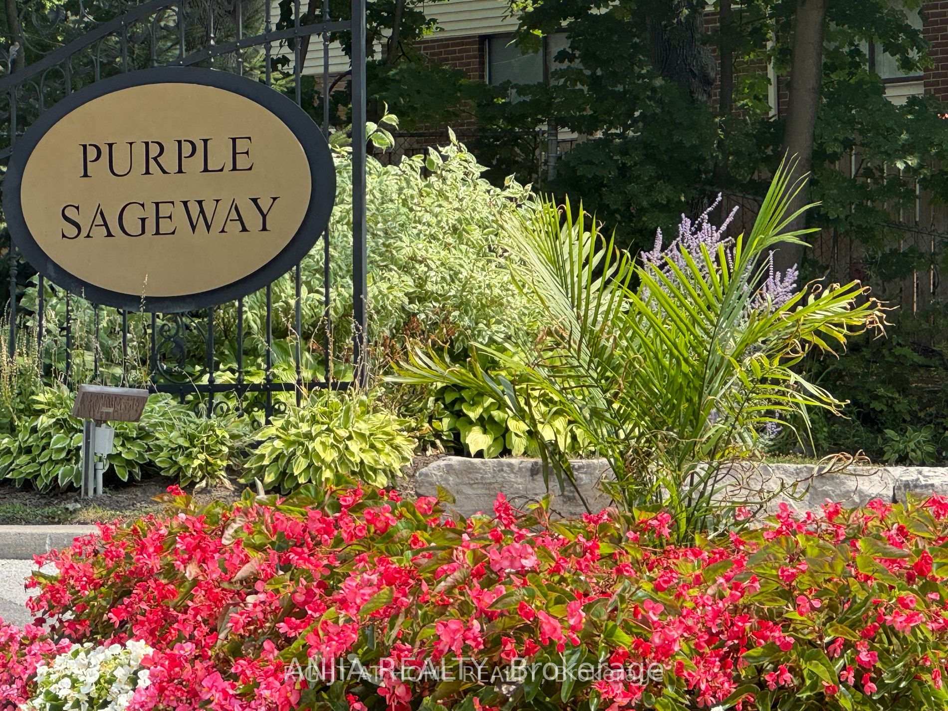 Front of 7 Purple Sageway