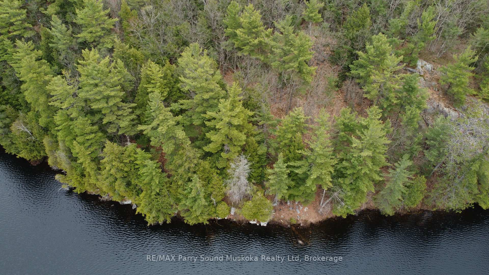 Photo 6 of 4 Wee Gee Wa Road, Seguin — HOMEH